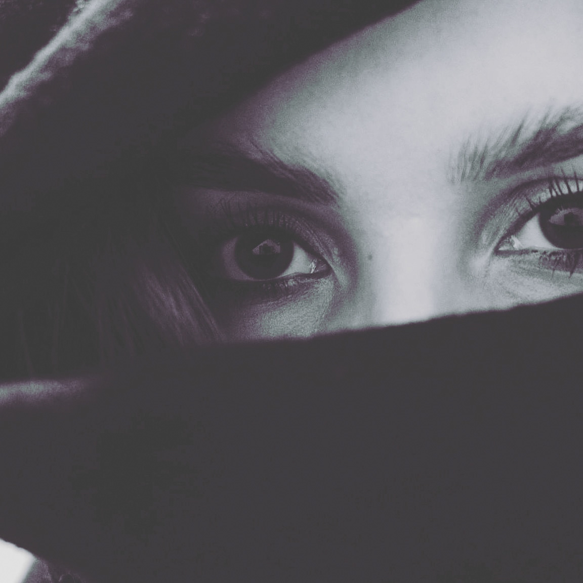 🇵🇱 Polish model