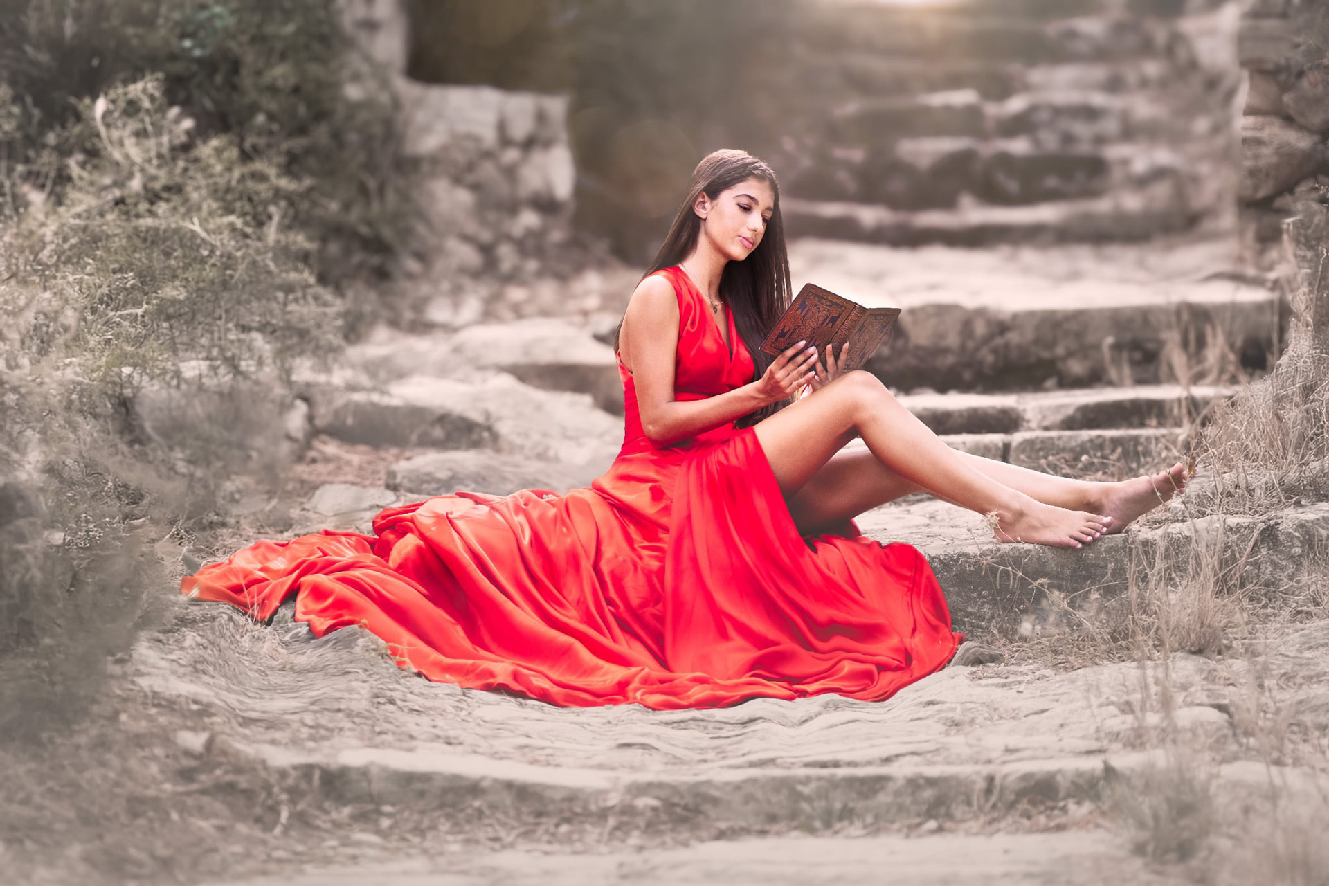 🇲🇹Maltese model