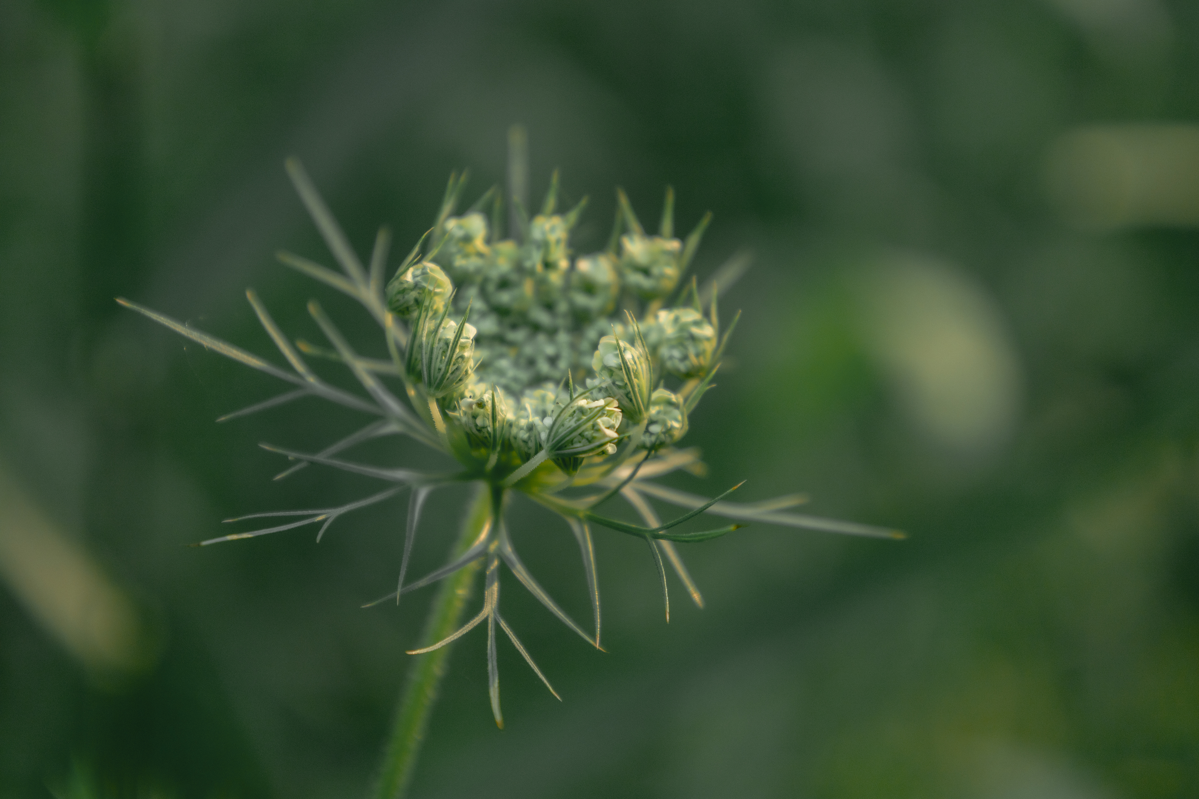 You can learn a lot of things from the flowers