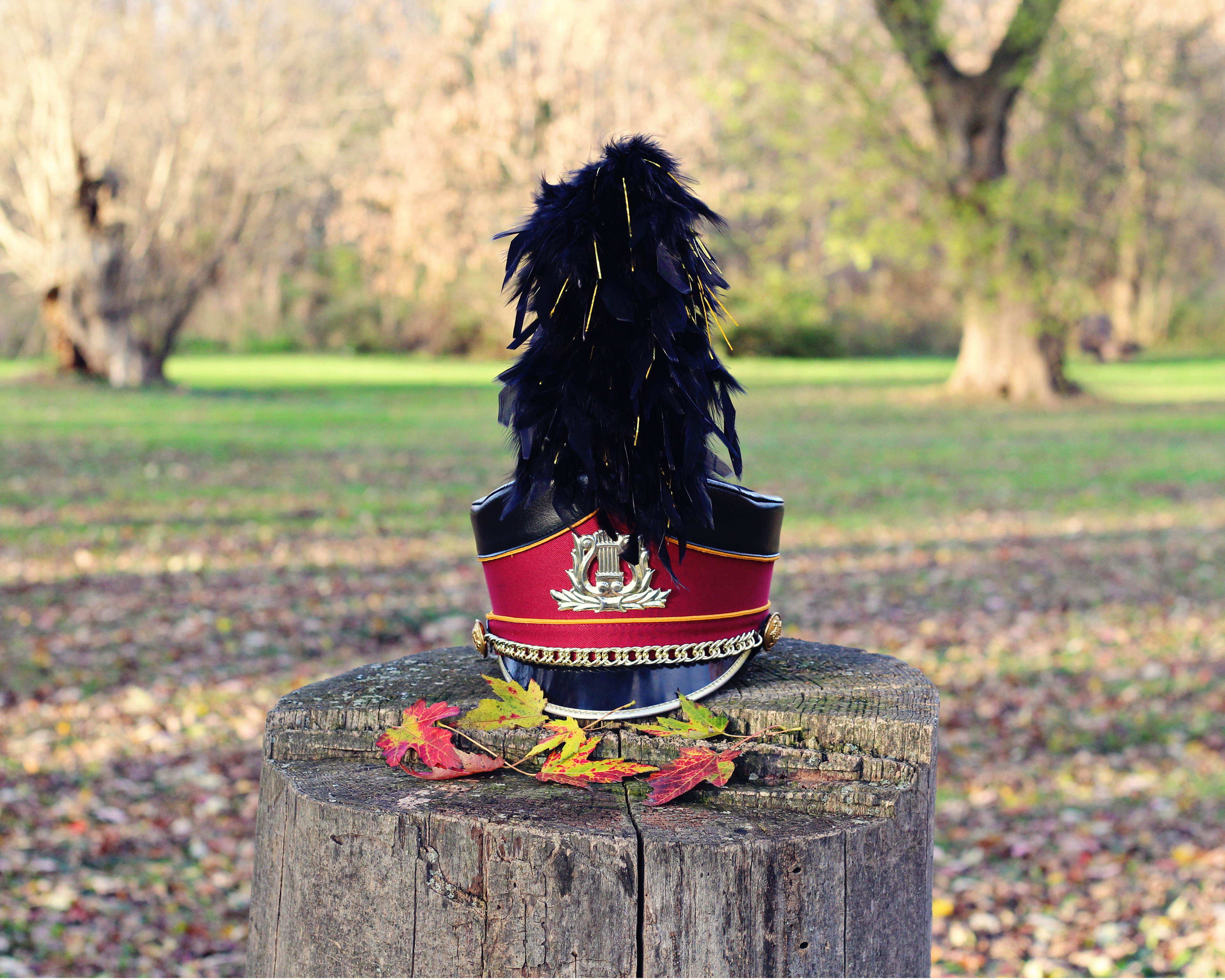 DMB Shako and Plume
