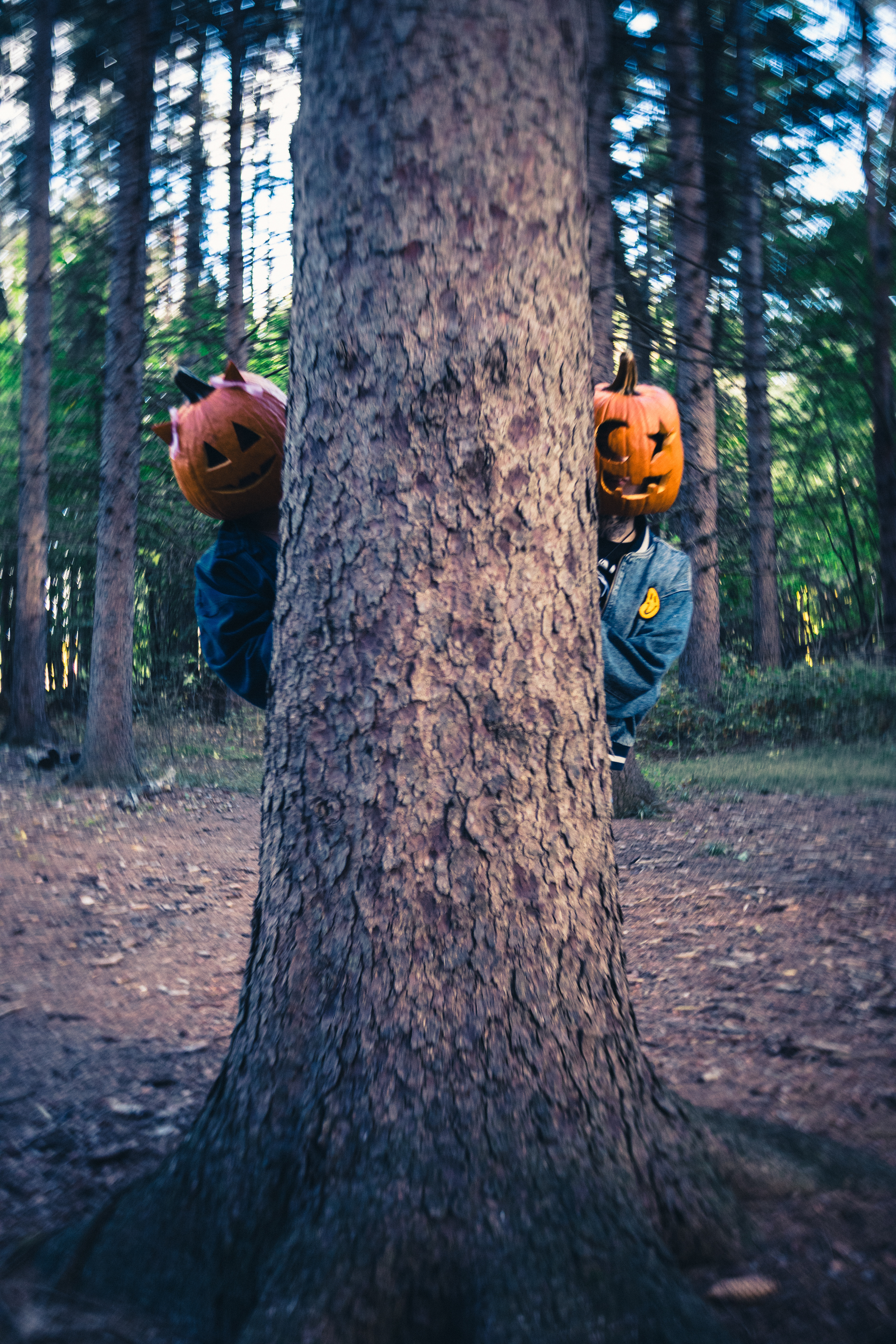 River and Savannah - Pumpkin head session