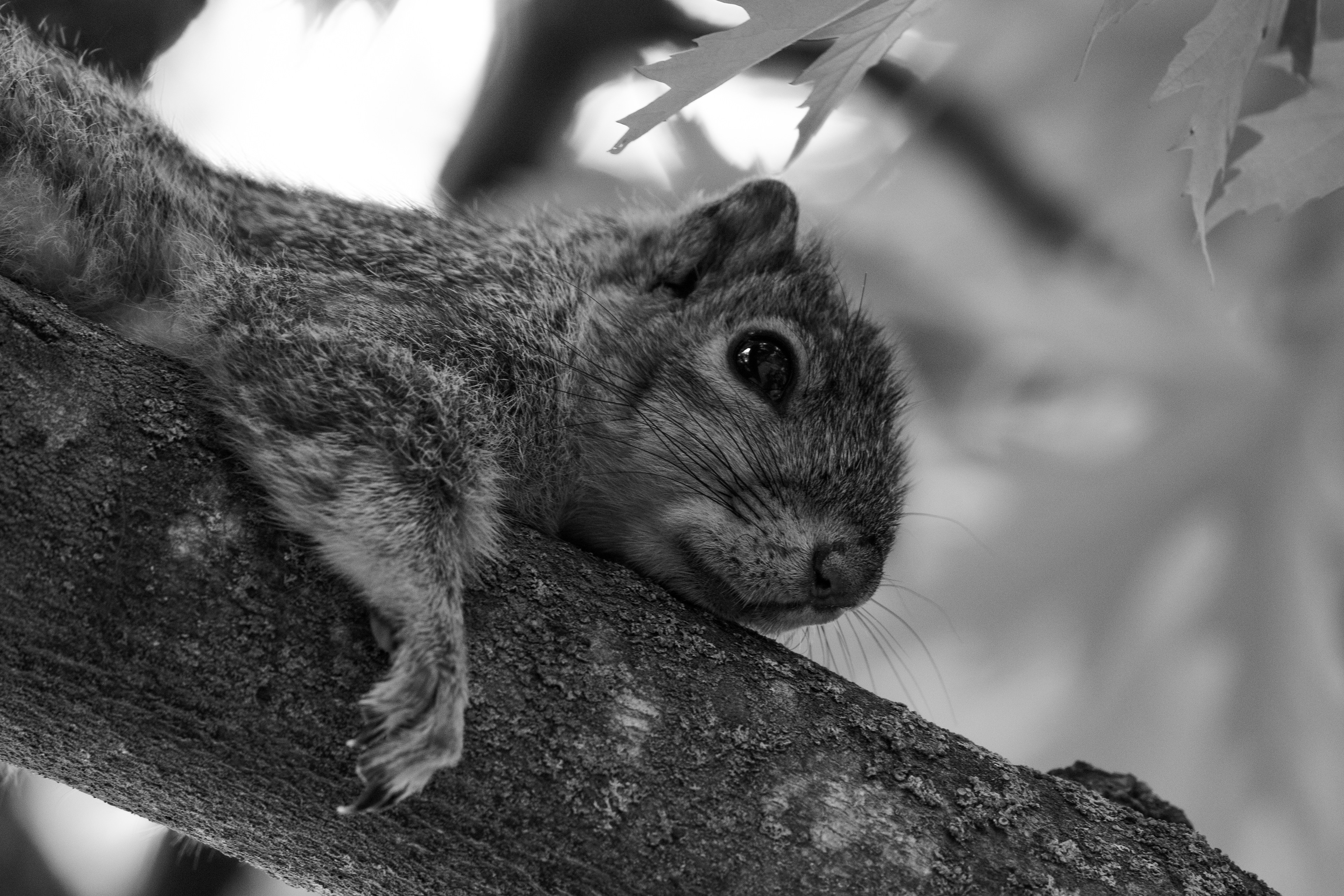 Just Hanging Out