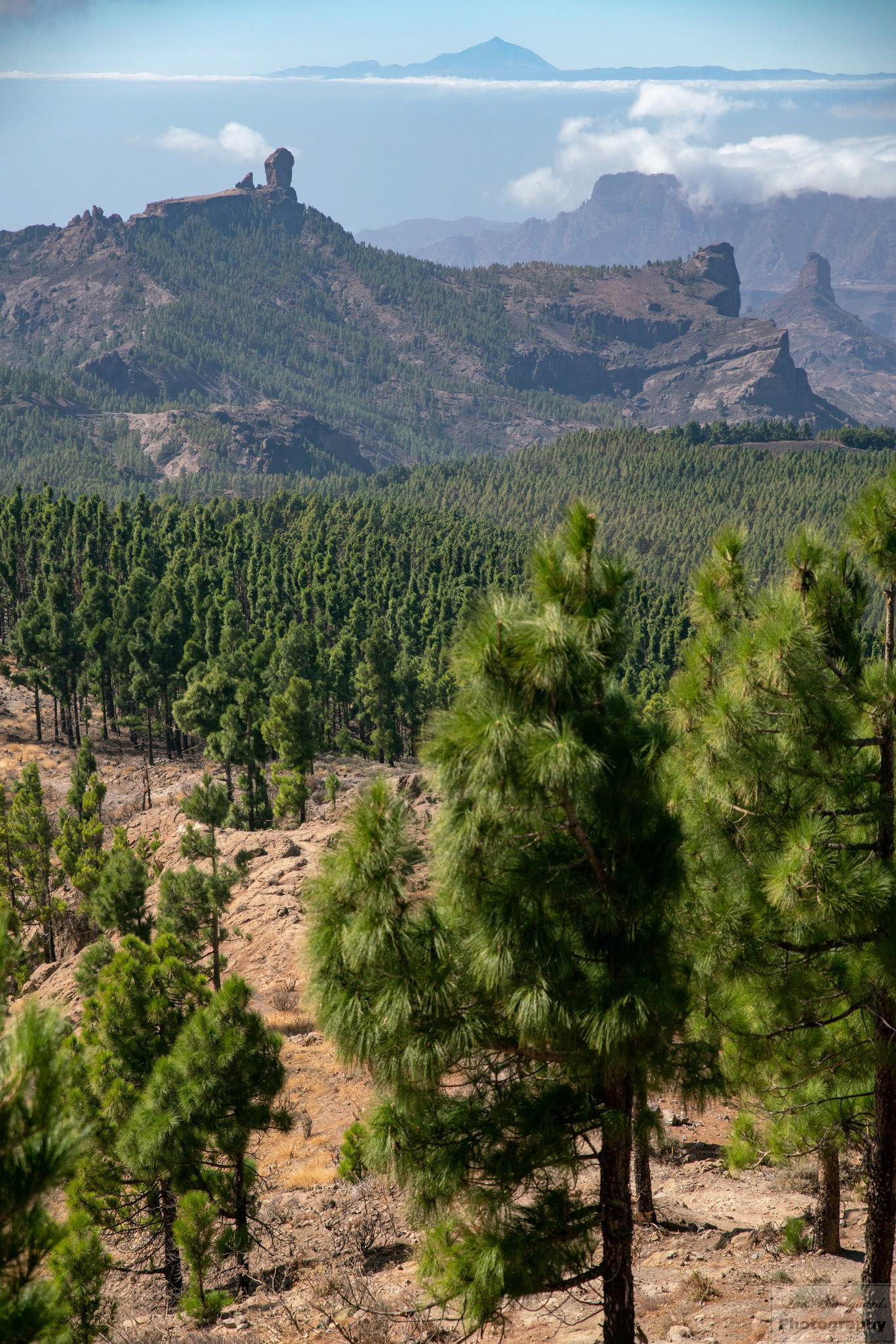 Copyright © Lars Bundgaard, all rights reserved!