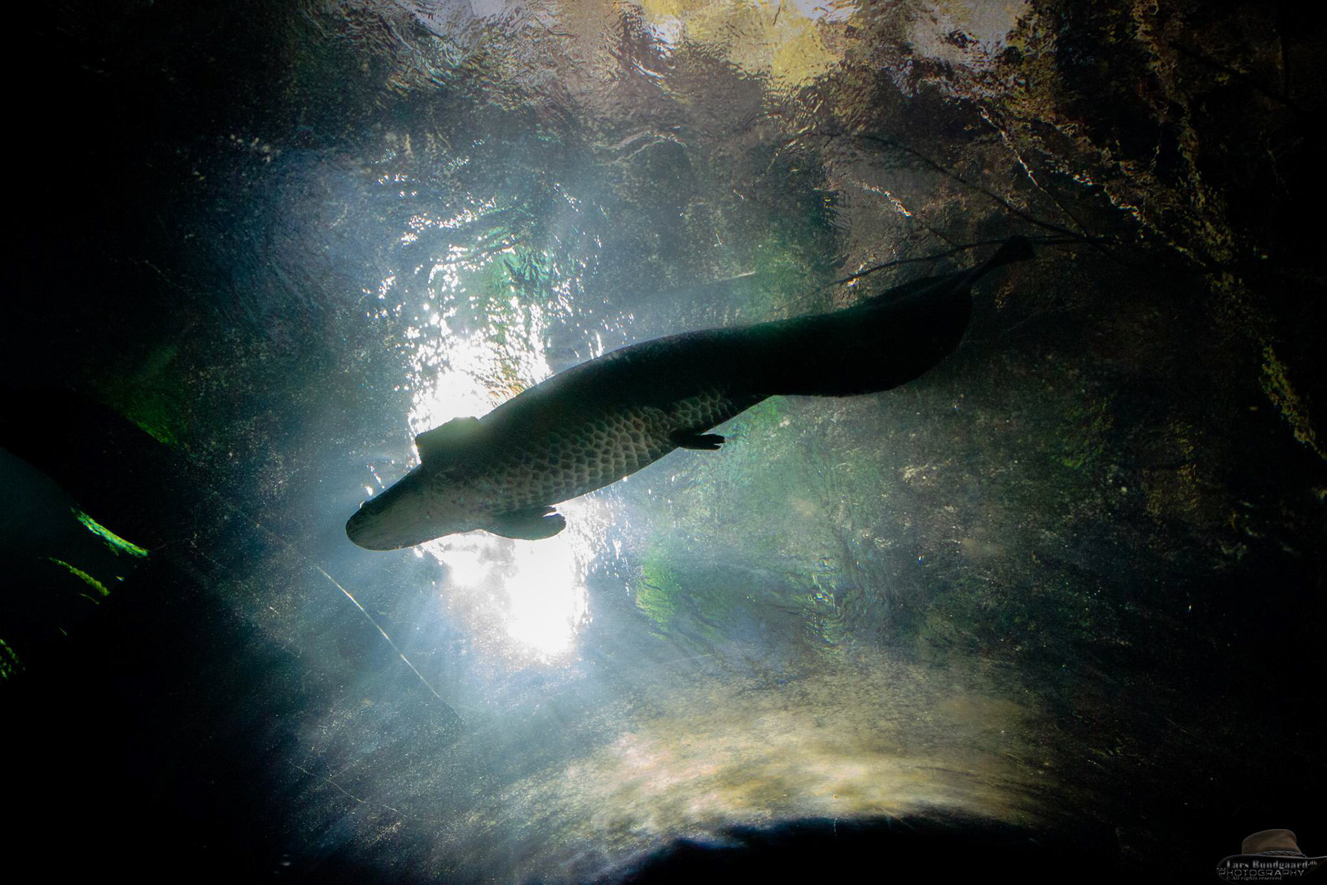 Copyright © Lars Bundgaard, all rights reserved!