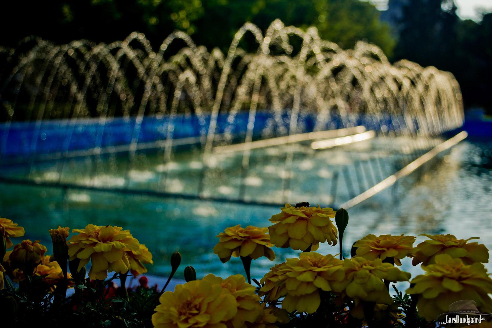 Copyright © Lars Bundgaard, all rights reserved!