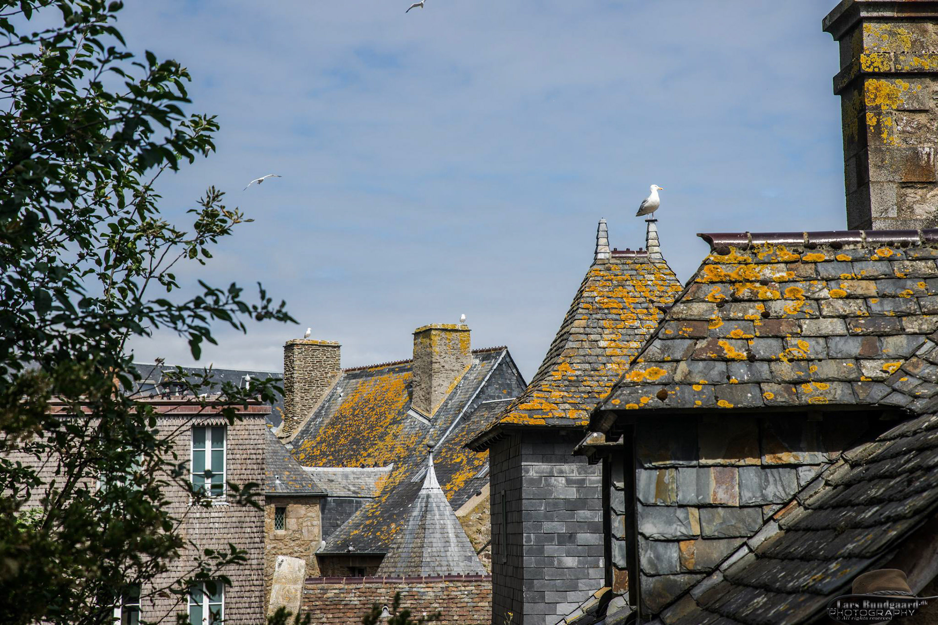 Copyright © Lars Bundgaard, all rights reserved!