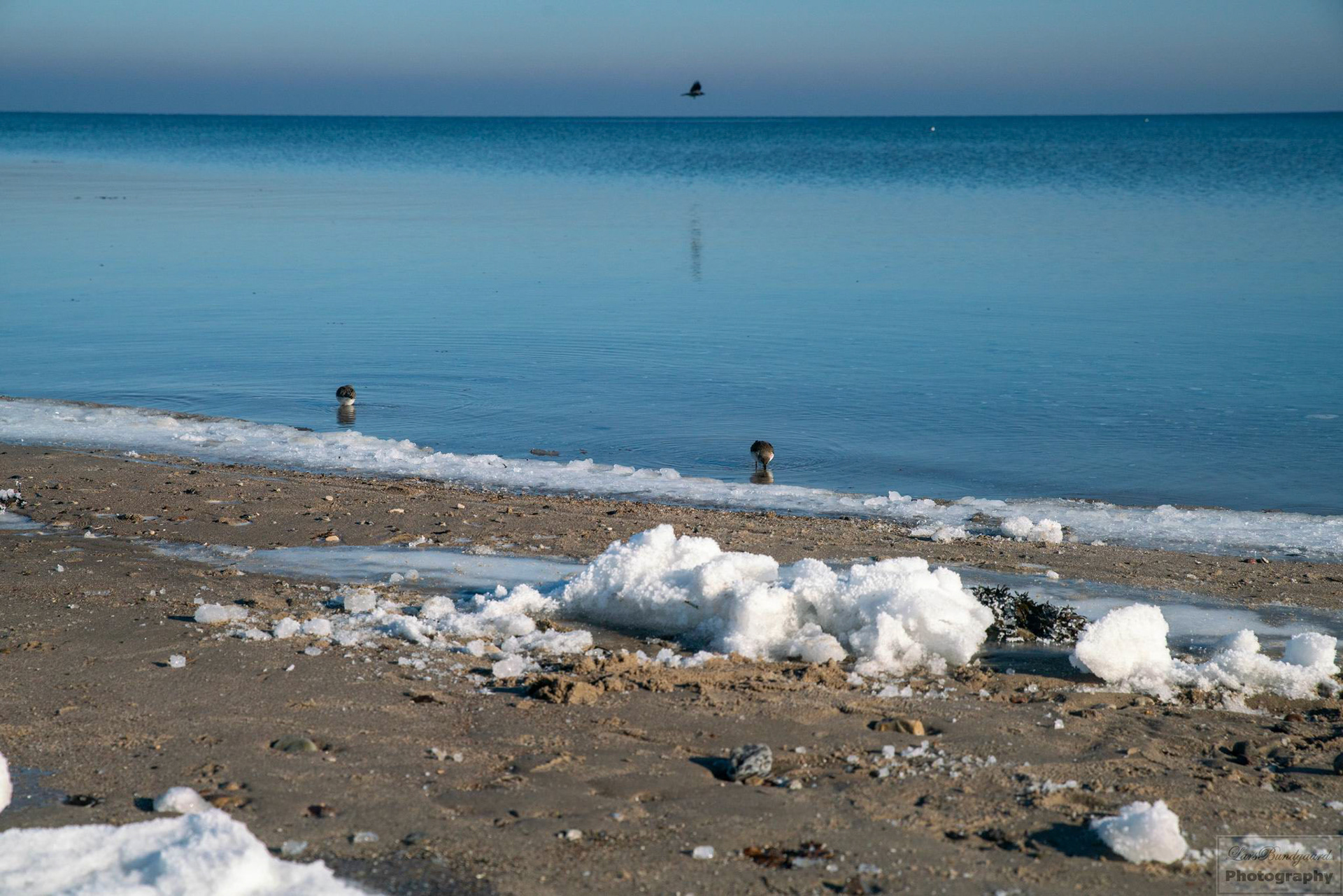 Copyright © Lars Bundgaard, all rights reserved!