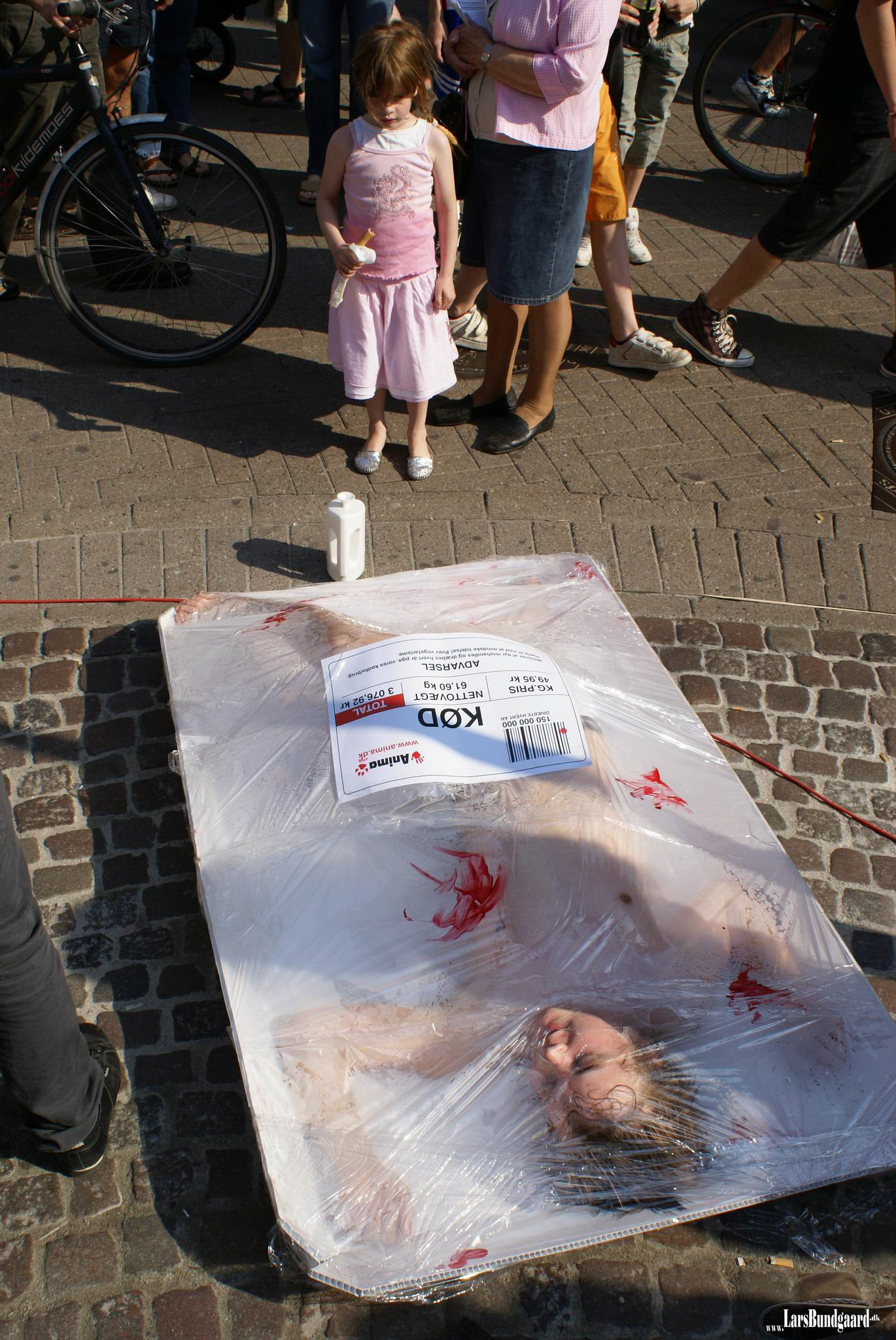 Copyright © Lars Bundgaard, all rights reserved!