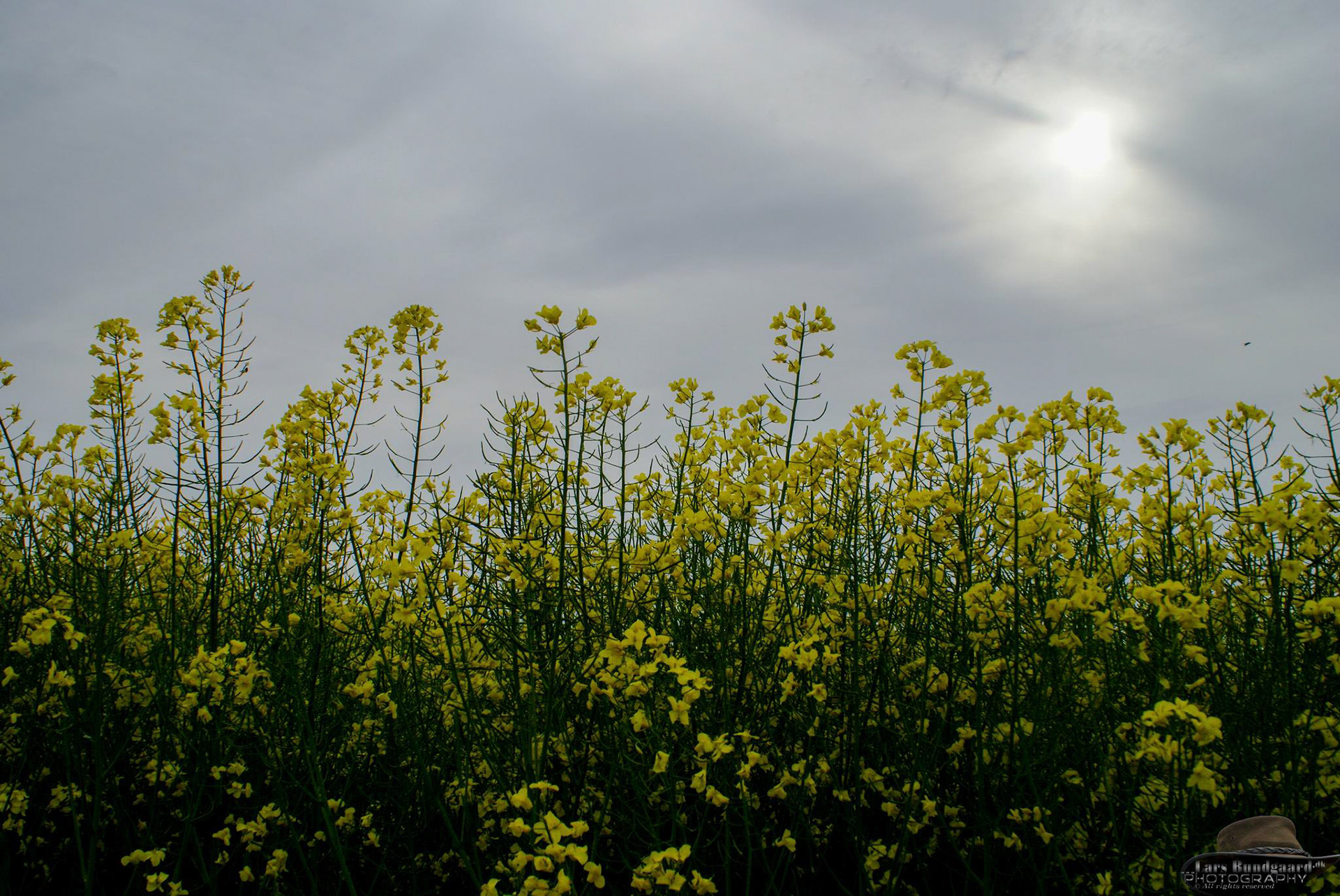 Copyright © Lars Bundgaard, all rights reserved!