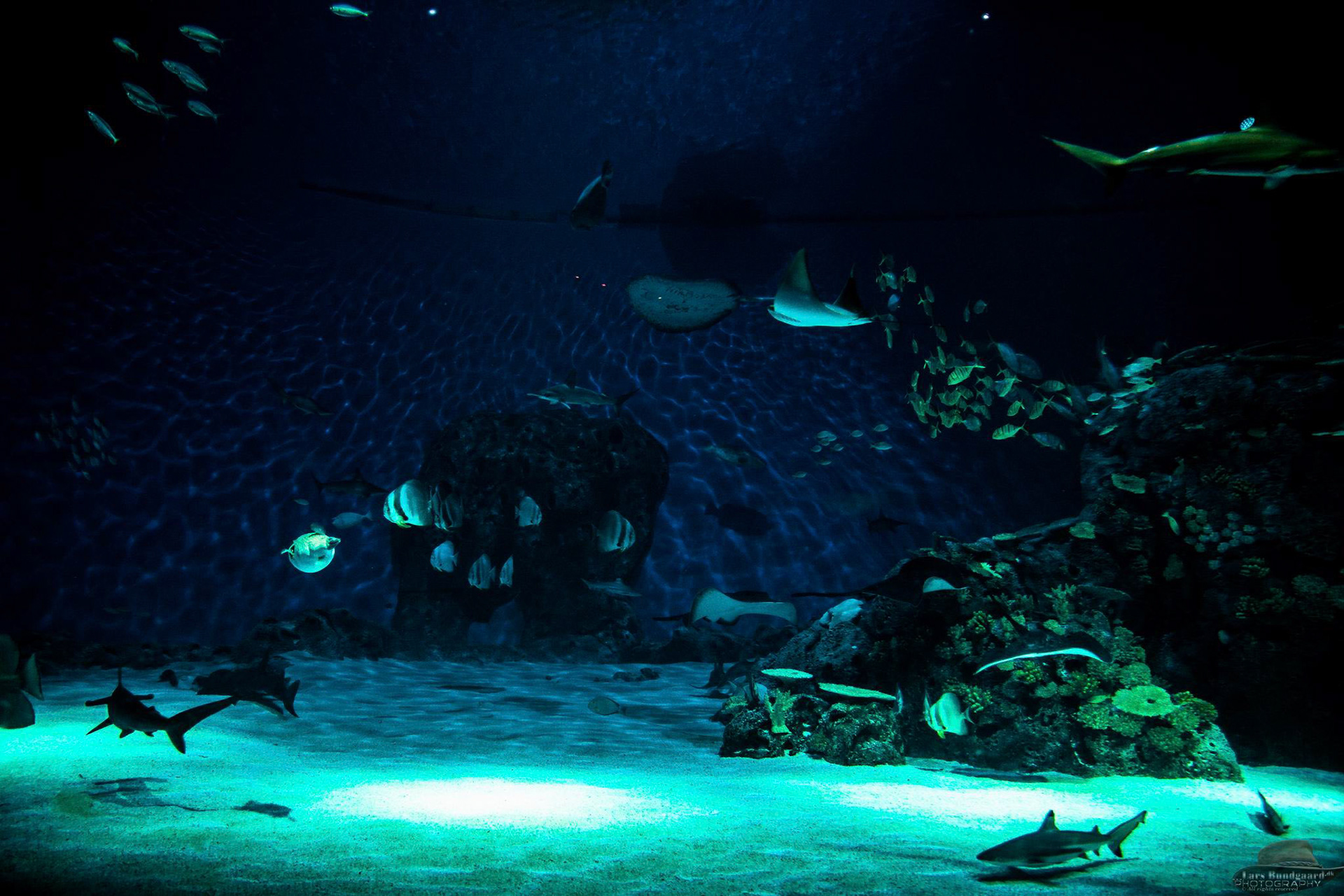 Copyright © Lars Bundgaard, all rights reserved!