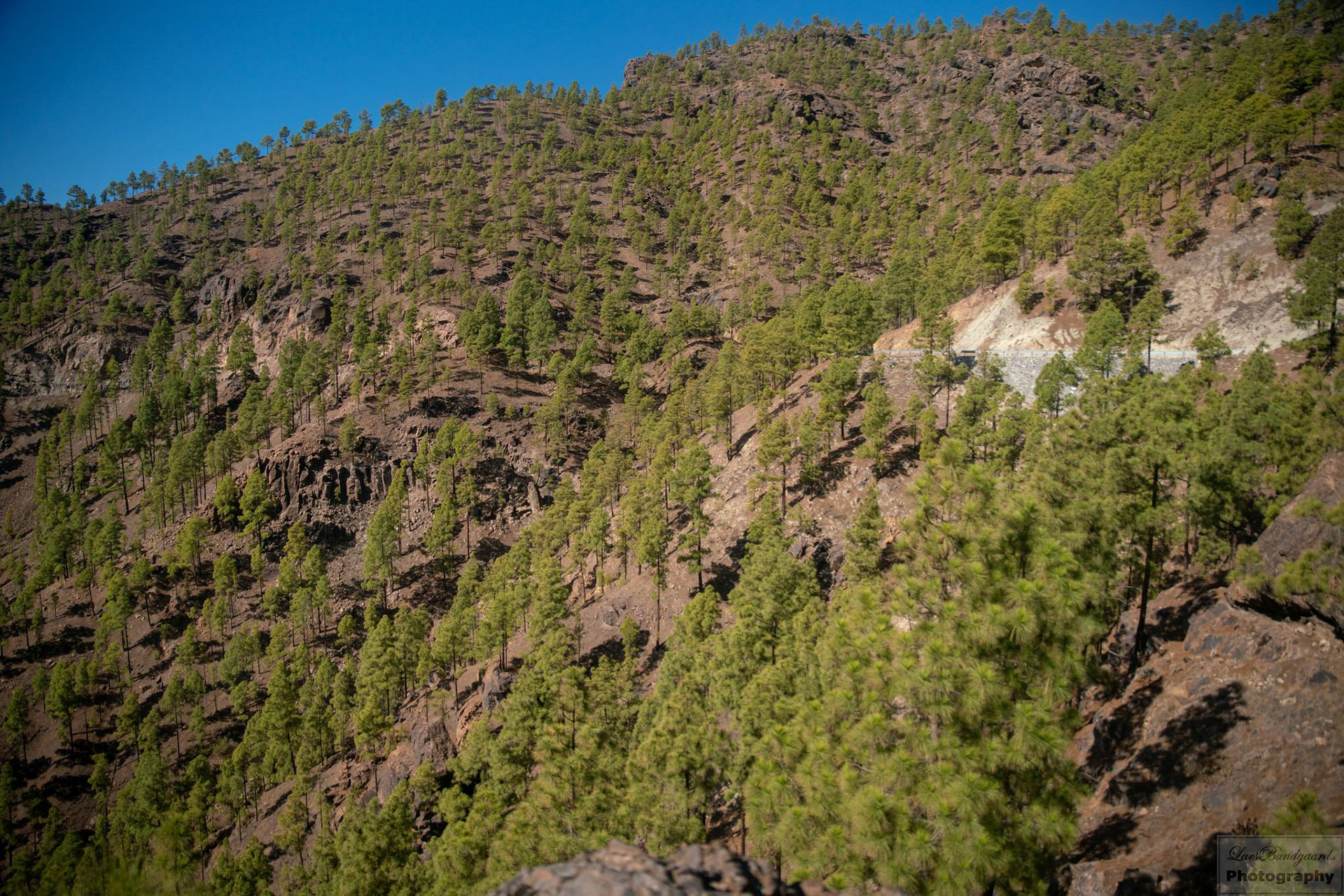 Copyright © Lars Bundgaard, all rights reserved!