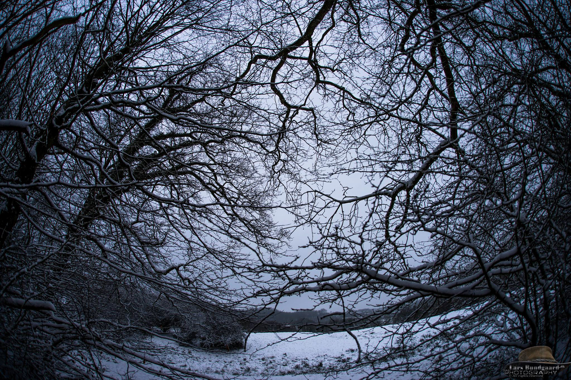 Copyright © Lars Bundgaard, all rights reserved!