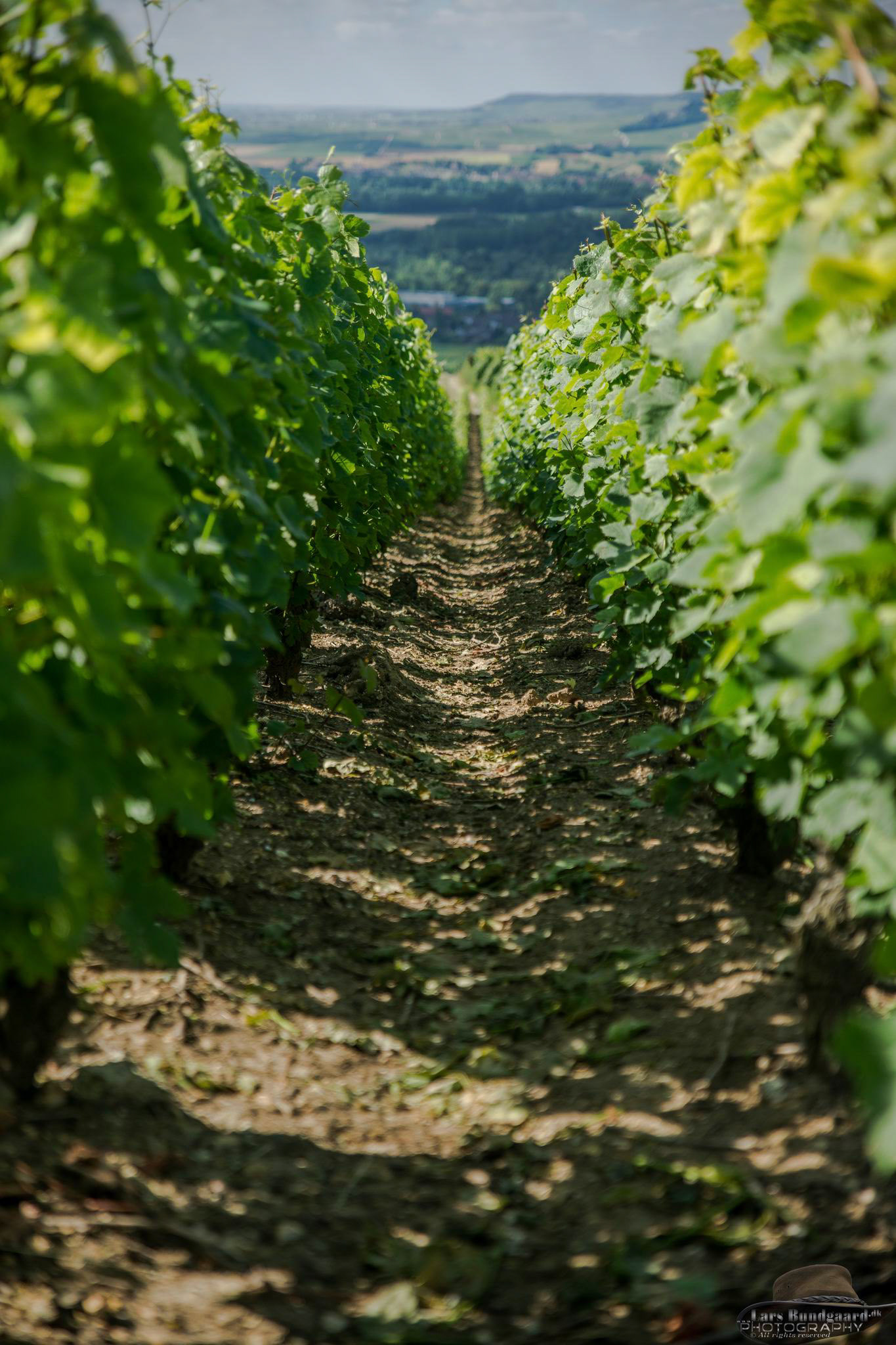 Copyright © Lars Bundgaard, all rights reserved!