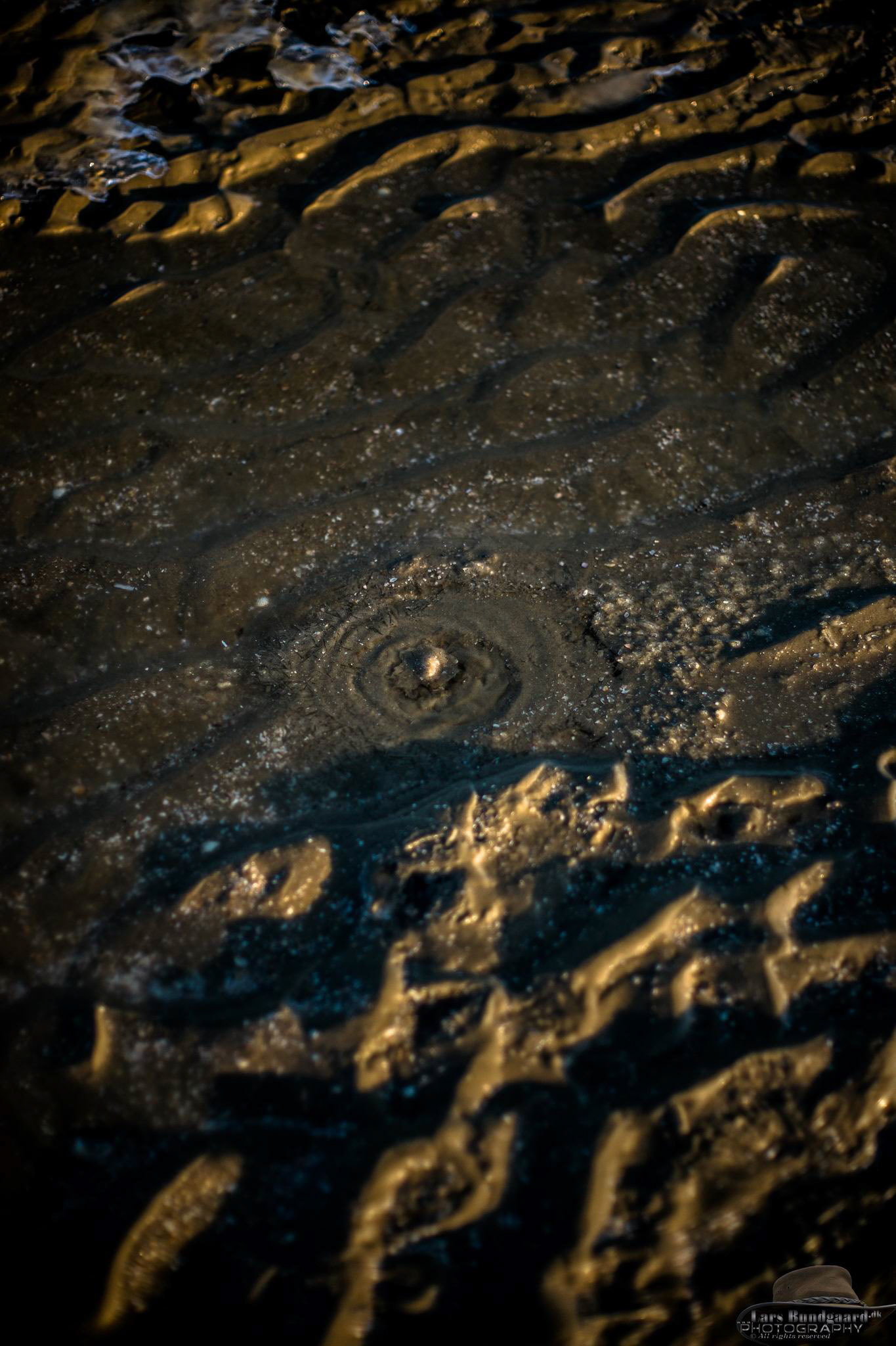 Copyright © Lars Bundgaard, all rights reserved!