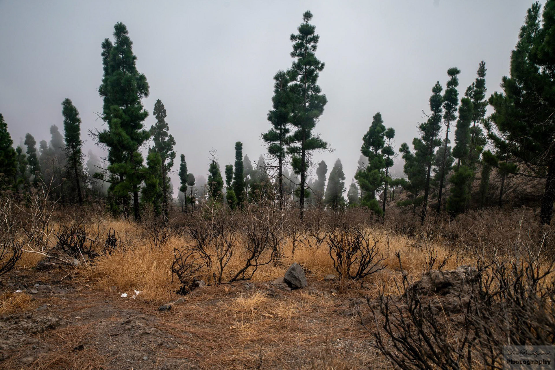 Copyright © Lars Bundgaard, all rights reserved!