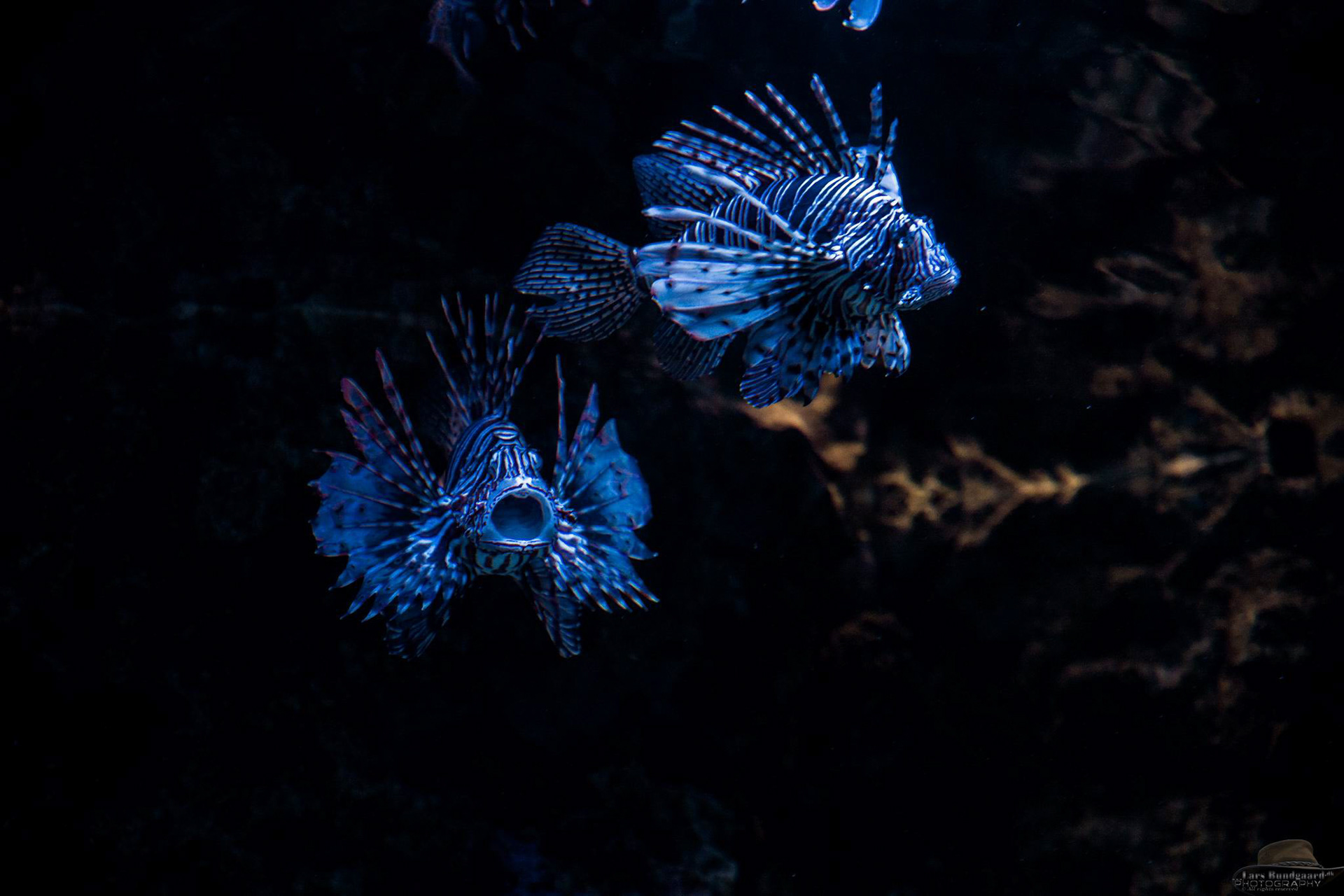 Copyright © Lars Bundgaard, all rights reserved!