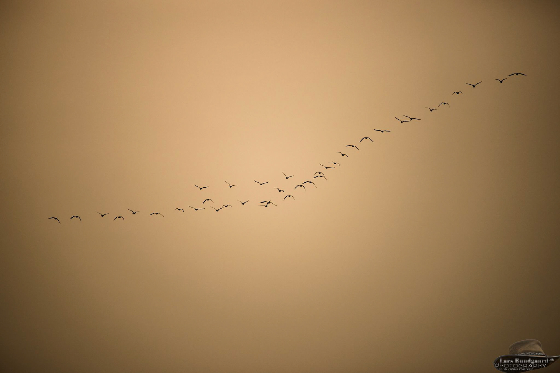 Copyright © Lars Bundgaard, all rights reserved!