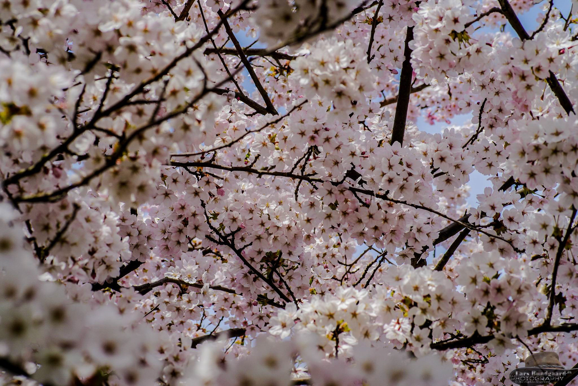 Copyright © Lars Bundgaard, all rights reserved!