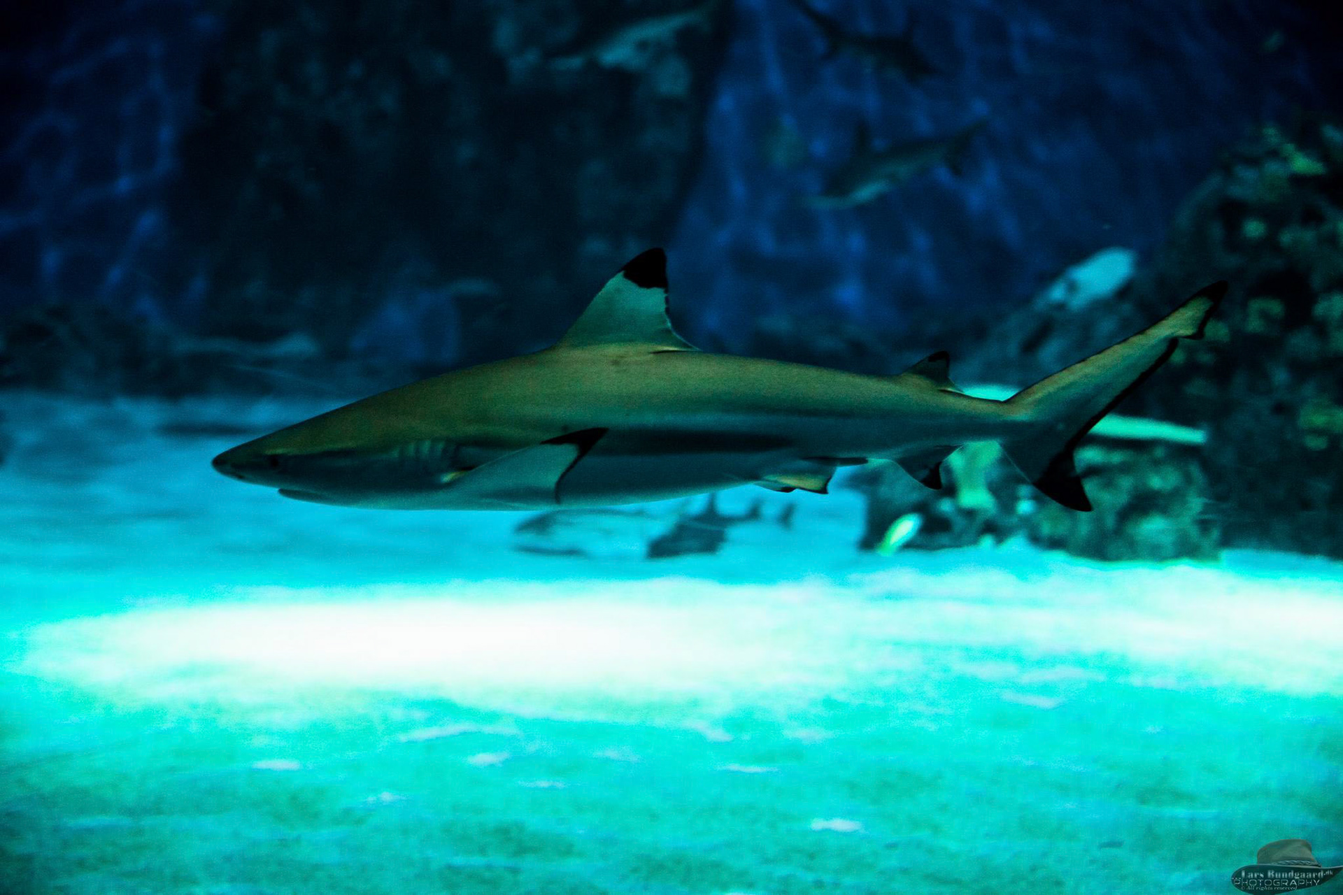 Copyright © Lars Bundgaard, all rights reserved!