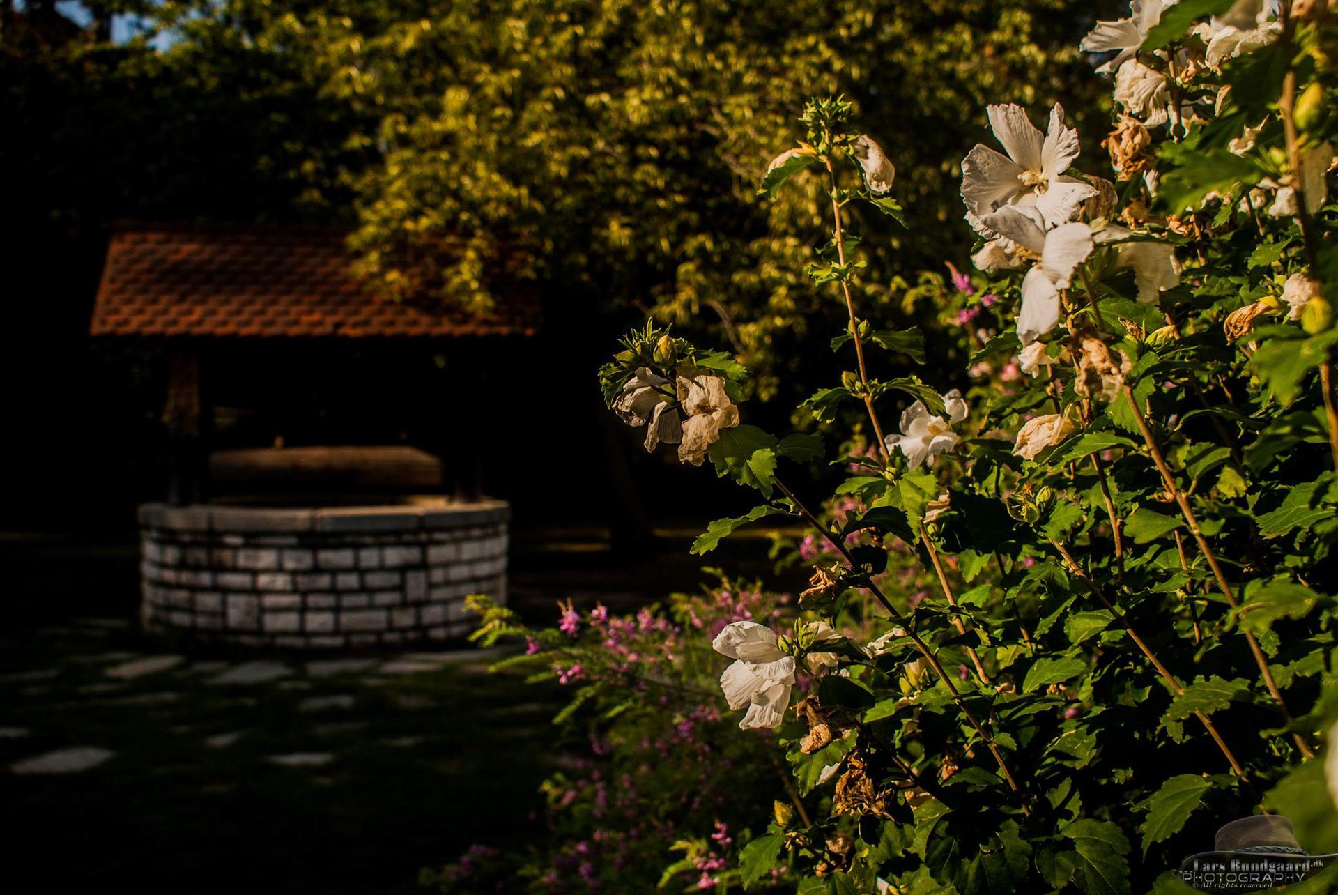 Copyright © Lars Bundgaard, all rights reserved!