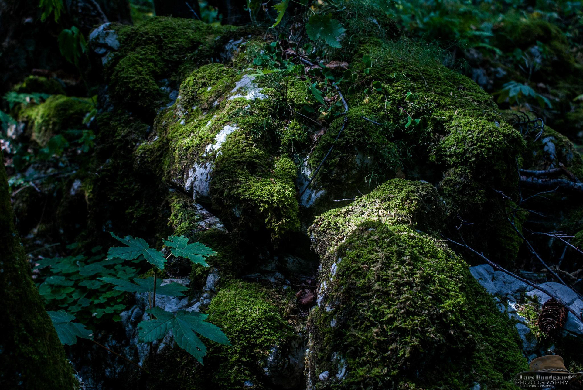 Copyright © Lars Bundgaard, all rights reserved!