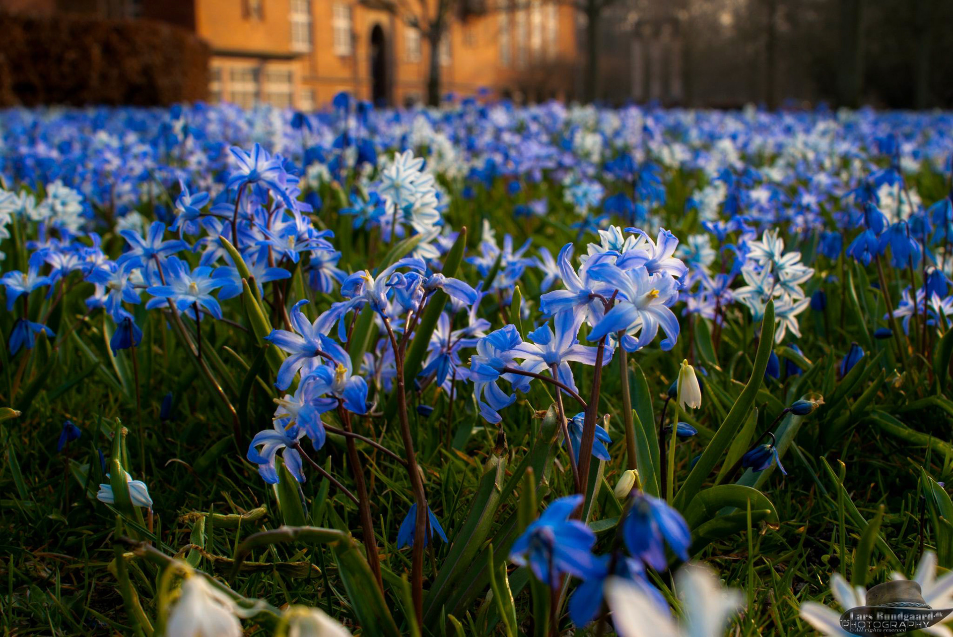 Copyright © Lars Bundgaard, all rights reserved!