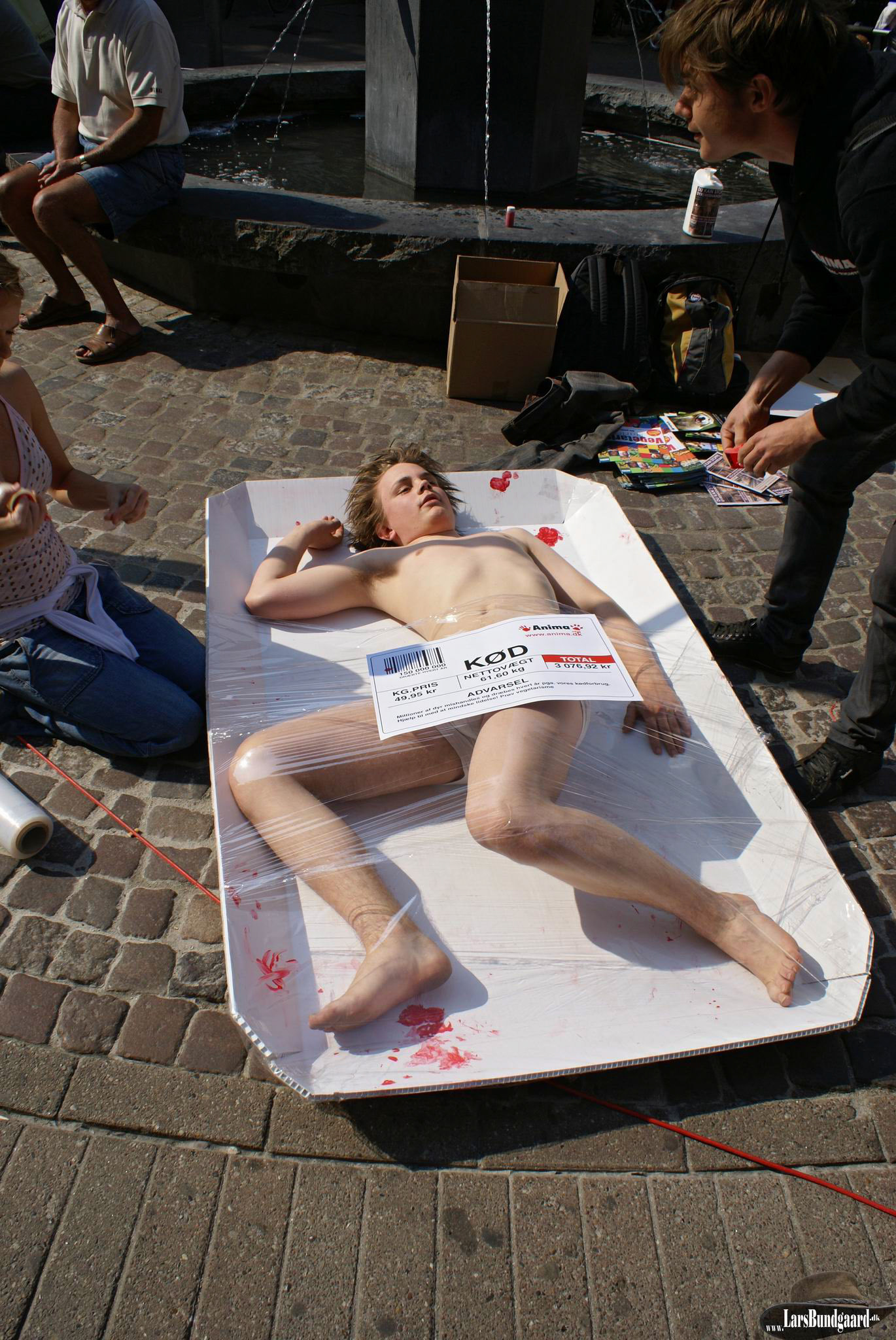 Copyright © Lars Bundgaard, all rights reserved!