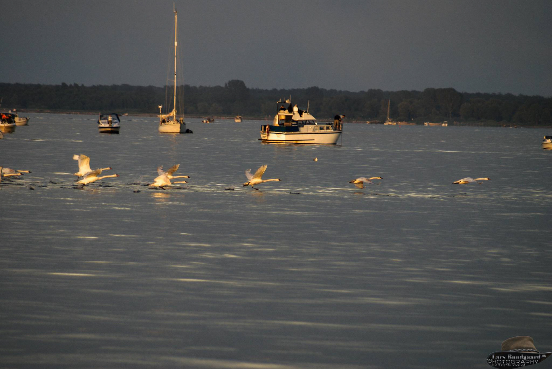 Copyright © Lars Bundgaard, all rights reserved!