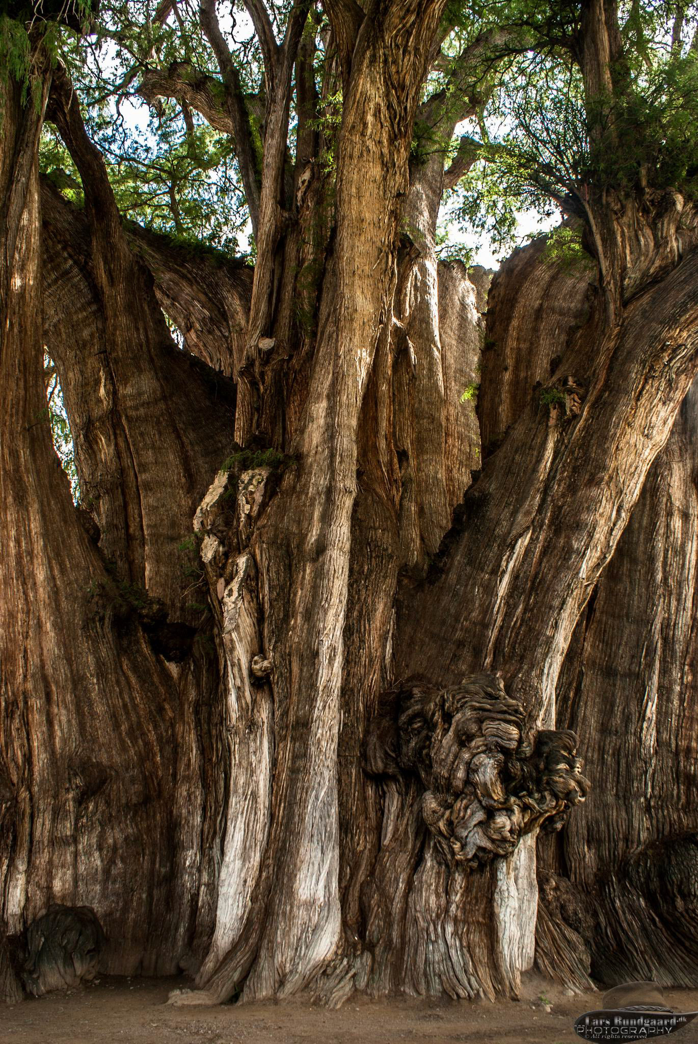 Copyright © Lars Bundgaard, all rights reserved!