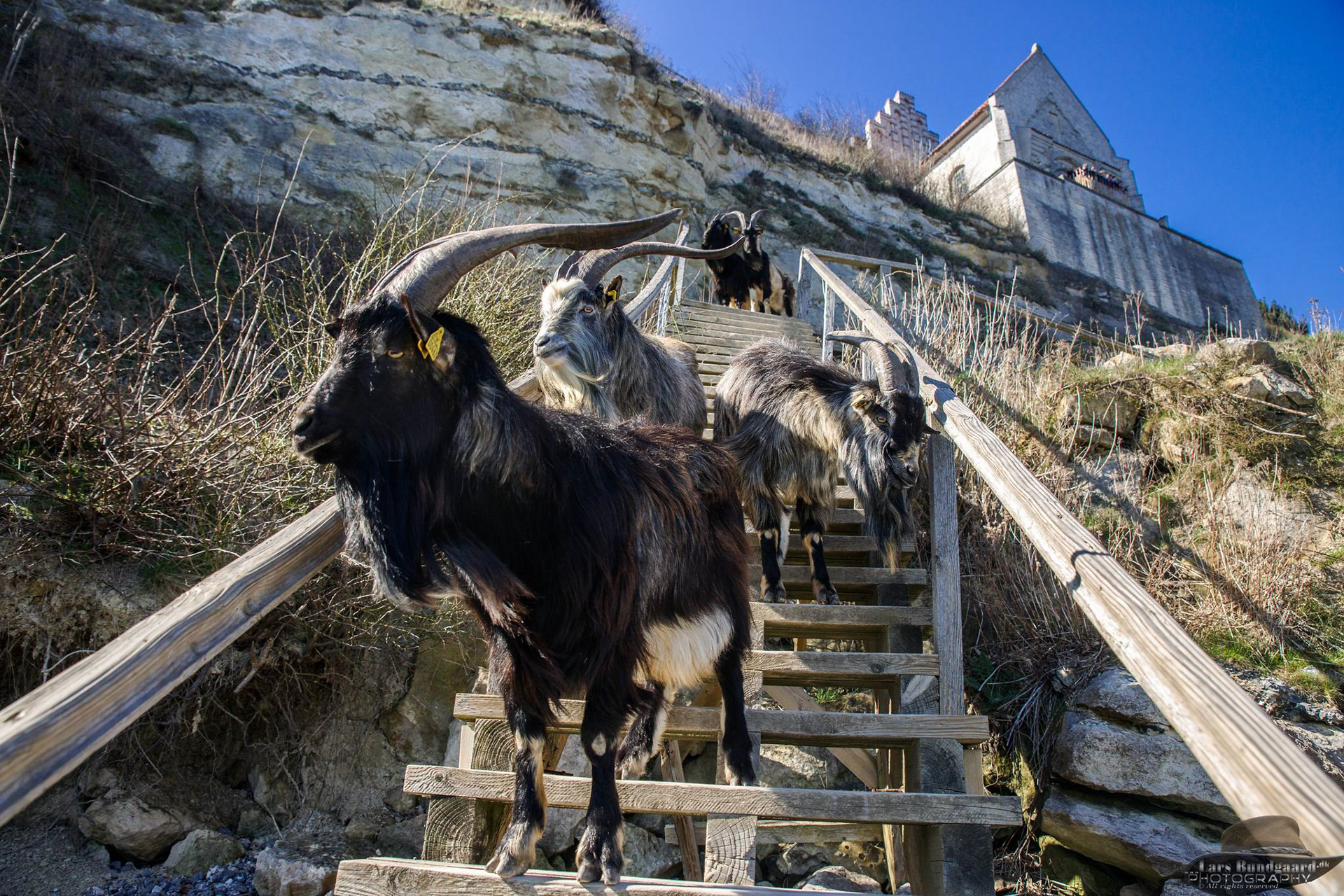 Copyright © Lars Bundgaard, all rights reserved!