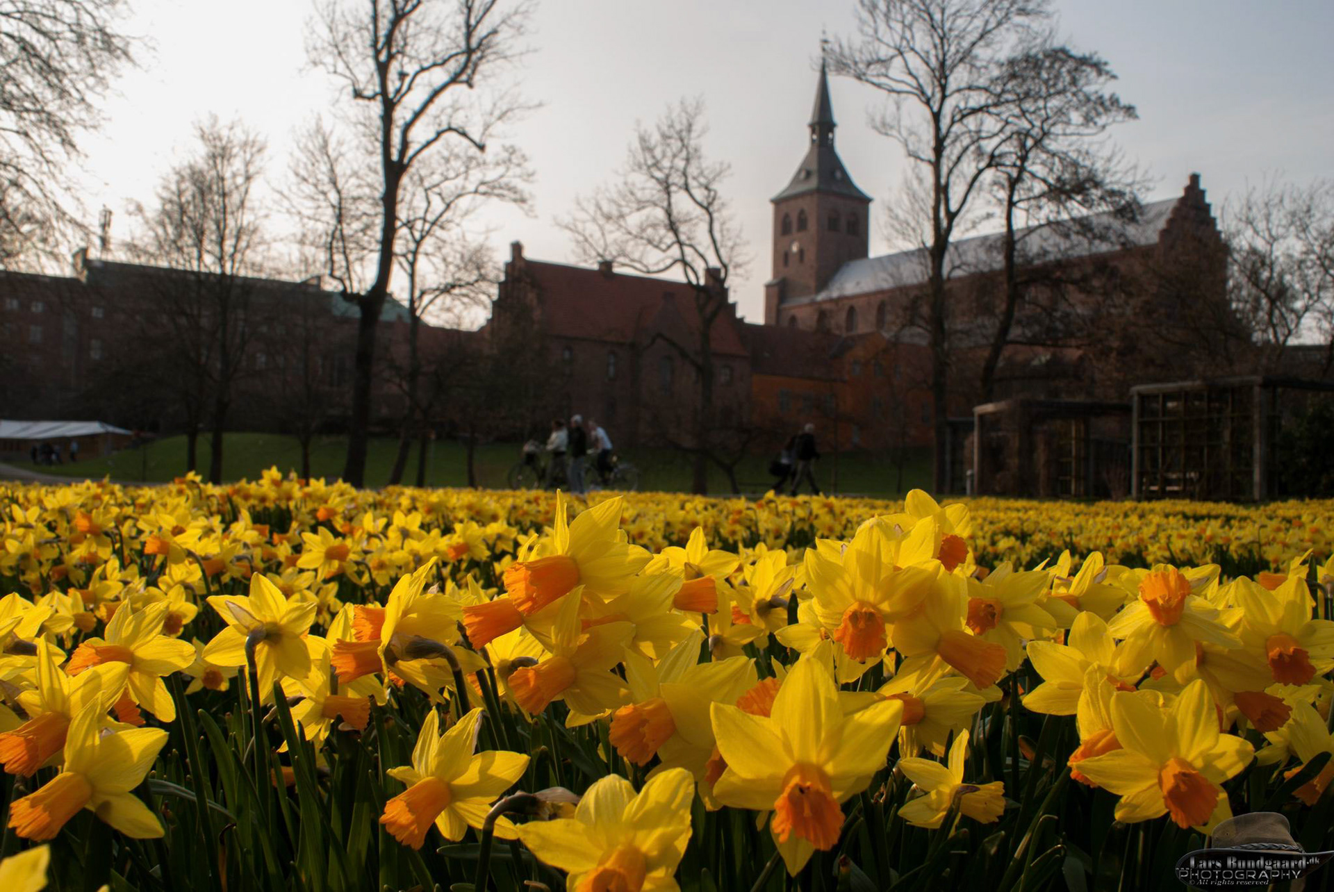 Copyright © Lars Bundgaard, all rights reserved!