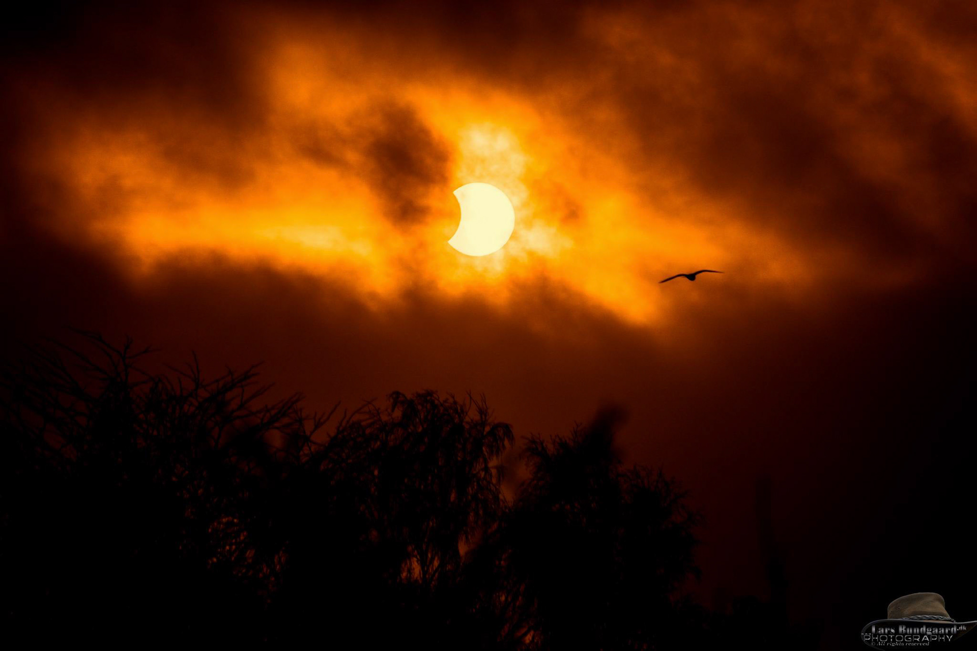 Copyright © Lars Bundgaard, all rights reserved!