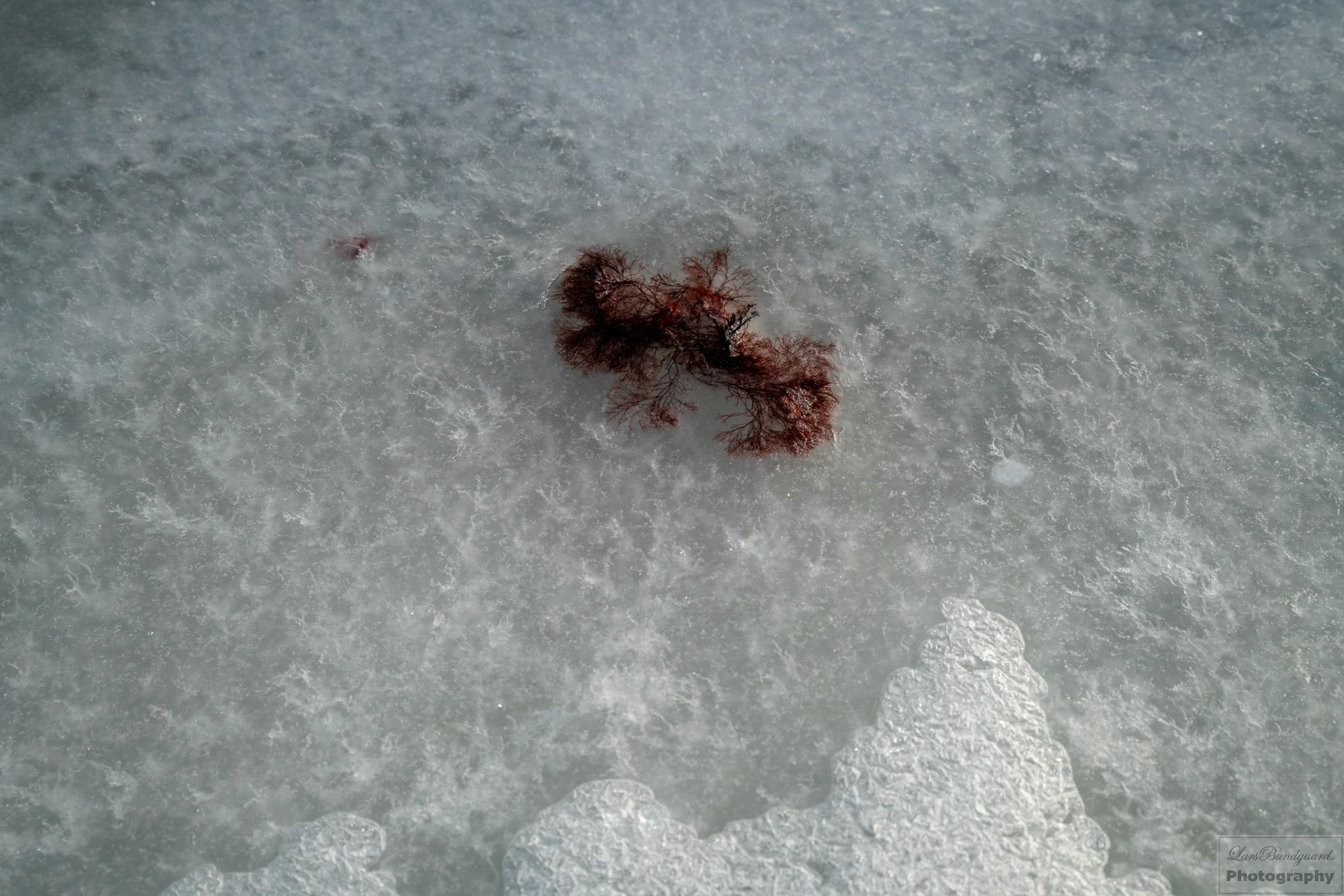 Copyright © Lars Bundgaard, all rights reserved!