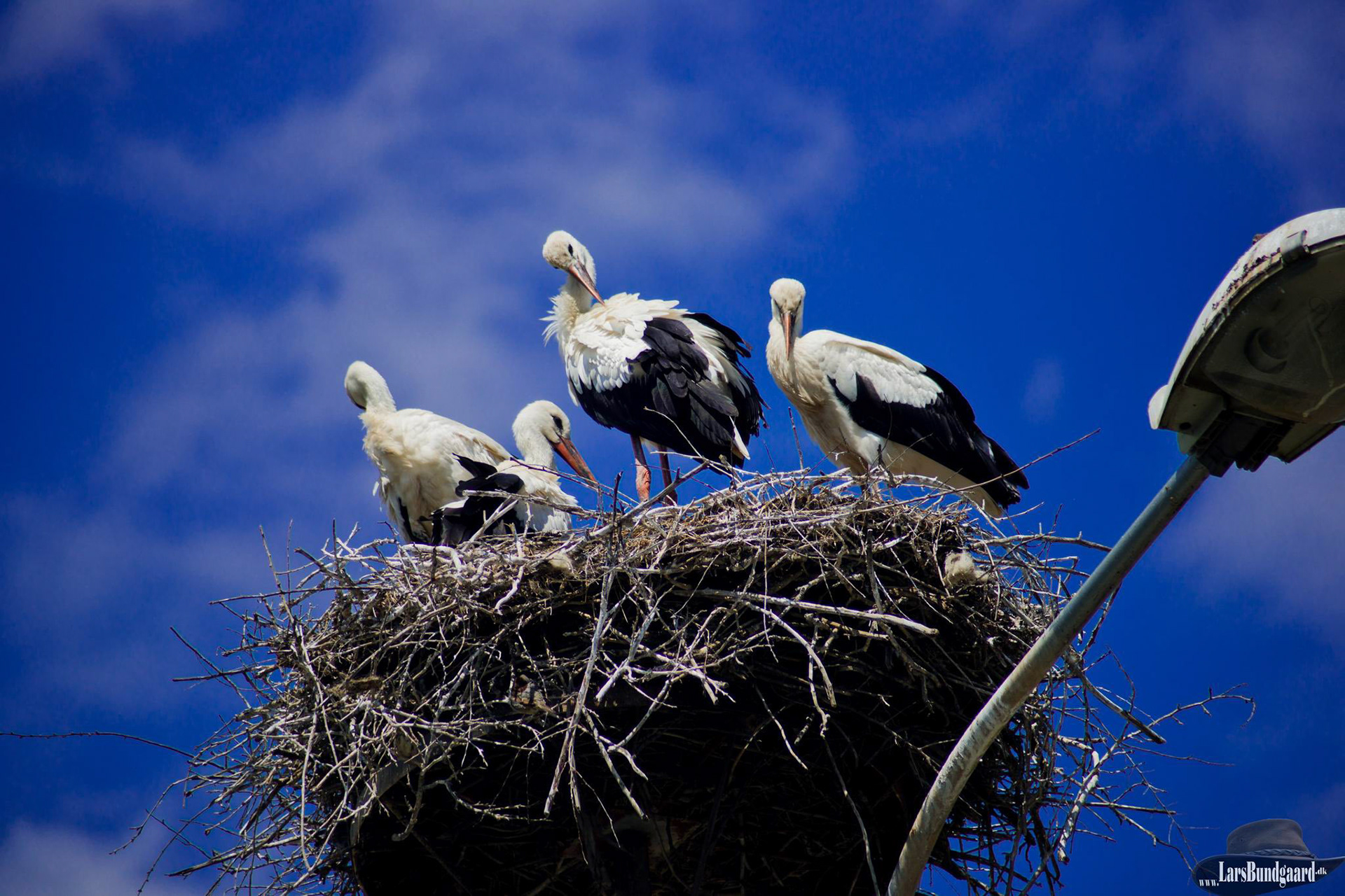 Copyright © Lars Bundgaard, all rights reserved!