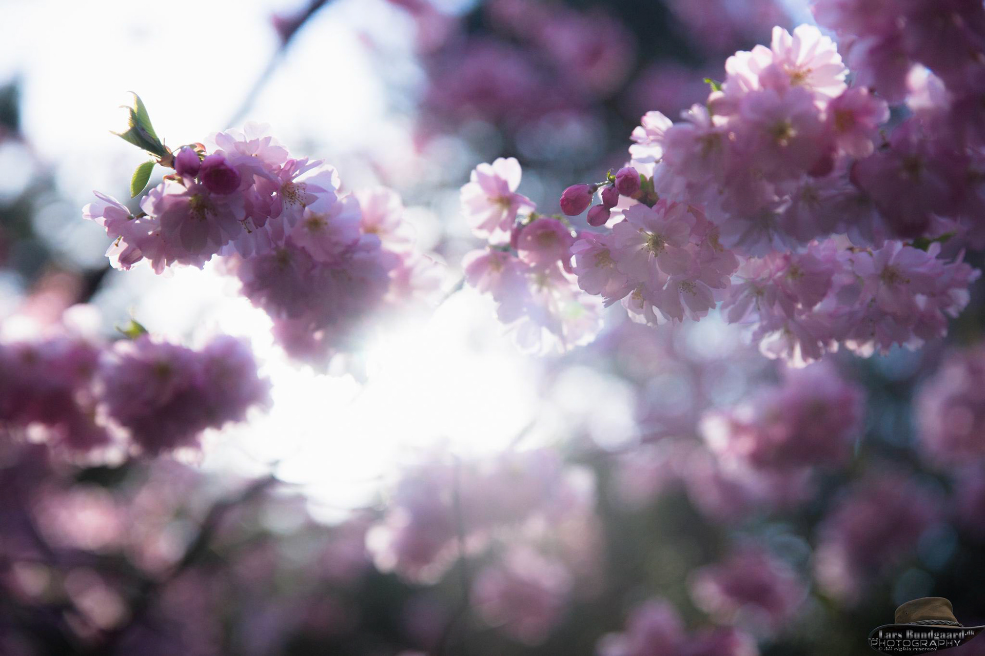 Copyright © Lars Bundgaard, all rights reserved!