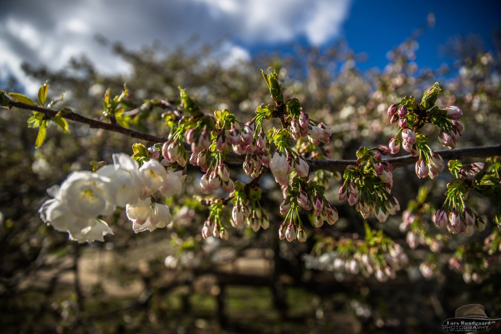 Copyright © Lars Bundgaard, all rights reserved!