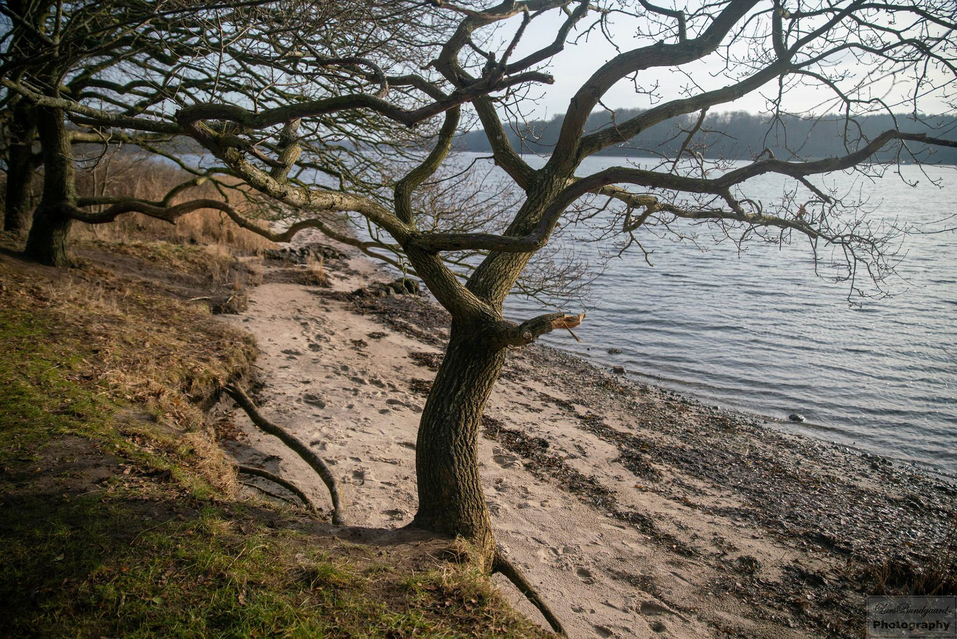 Copyright © Lars Bundgaard, all rights reserved!