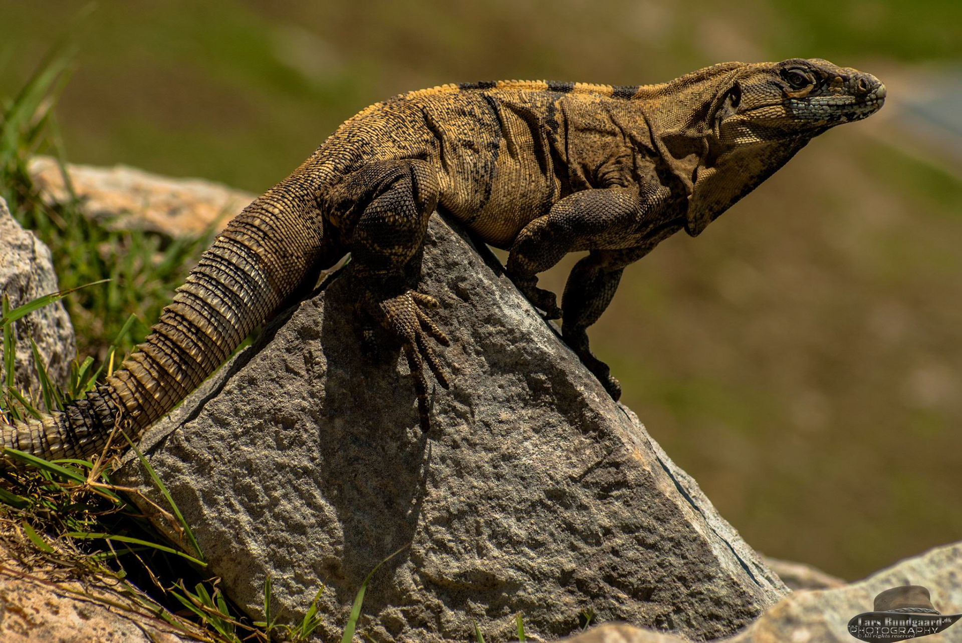 Copyright © Lars Bundgaard, all rights reserved!