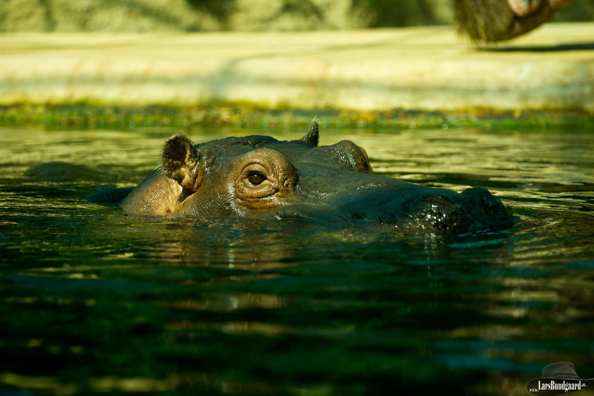 Copyright © Lars Bundgaard, all rights reserved!