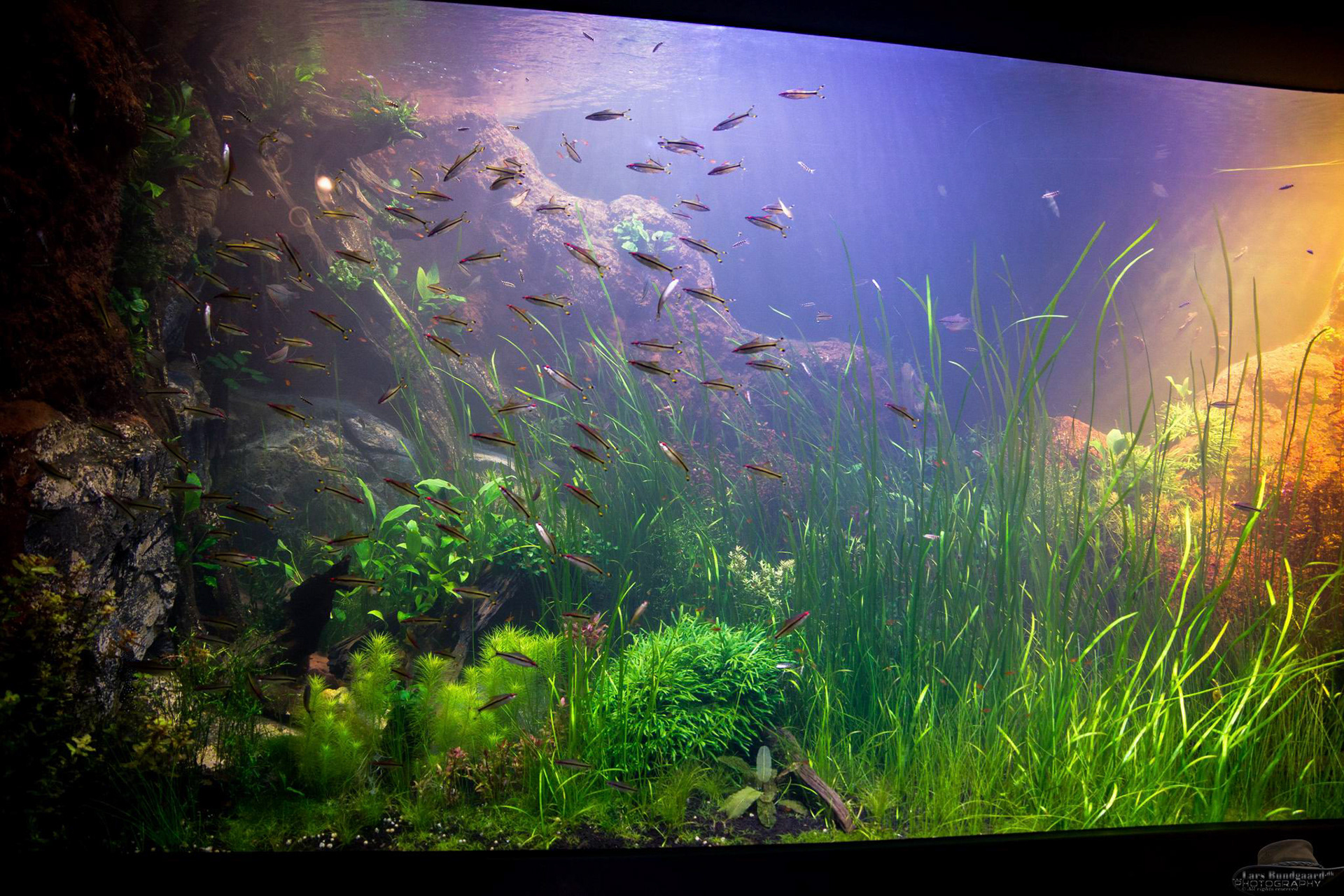 Copyright © Lars Bundgaard, all rights reserved!