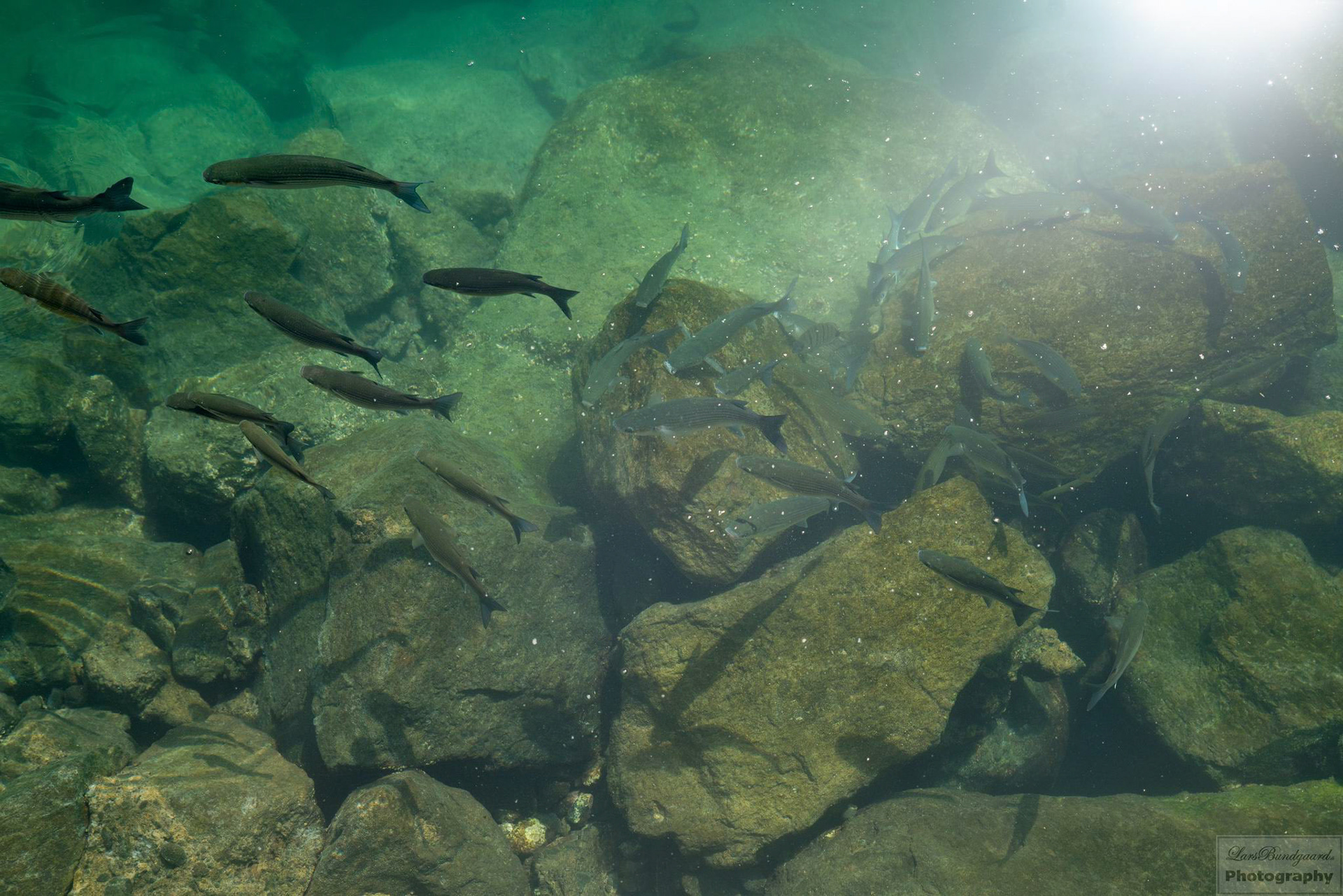 Copyright © Lars Bundgaard, all rights reserved!