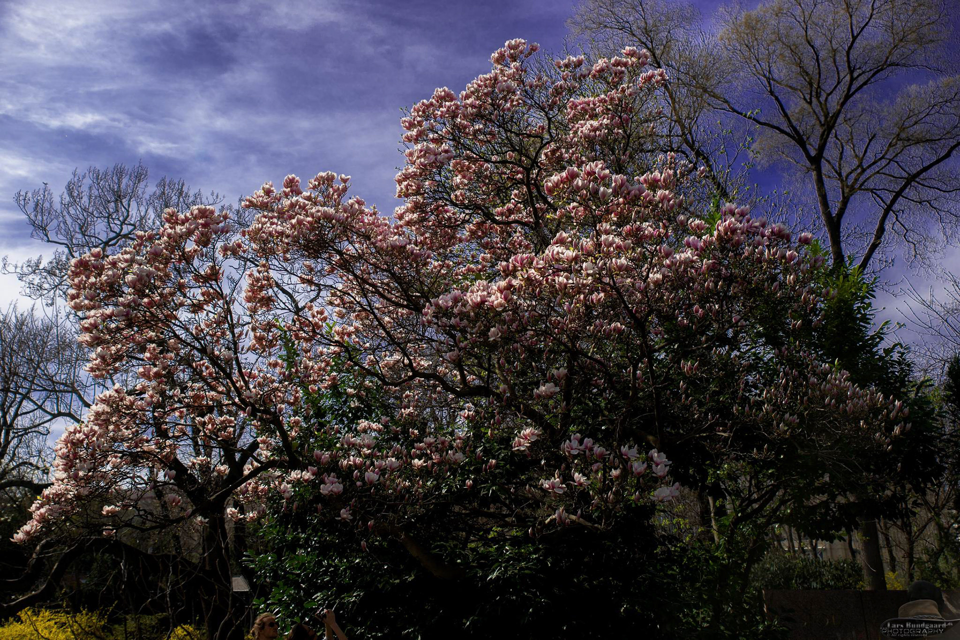 Copyright © Lars Bundgaard, all rights reserved!