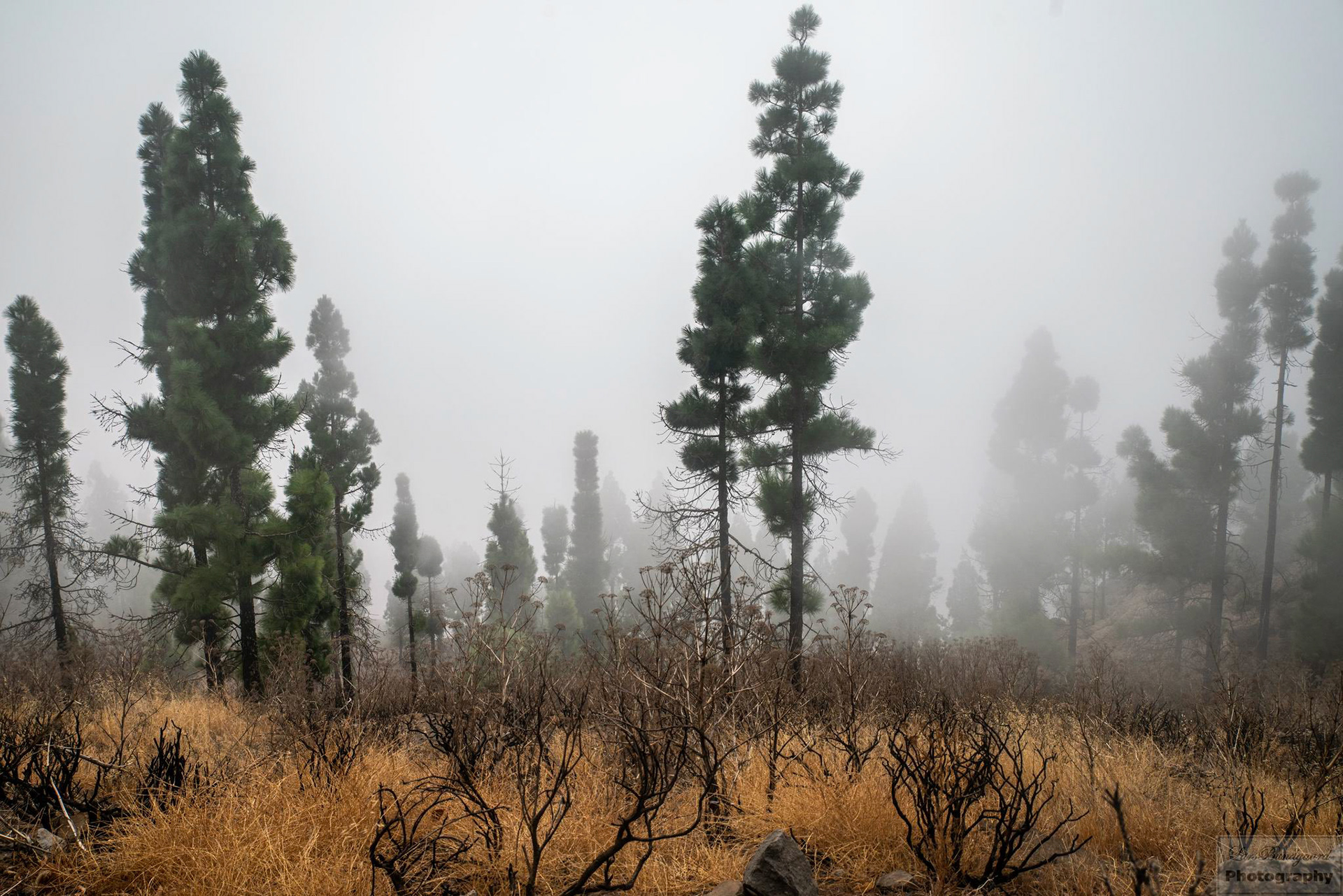 Copyright © Lars Bundgaard, all rights reserved!