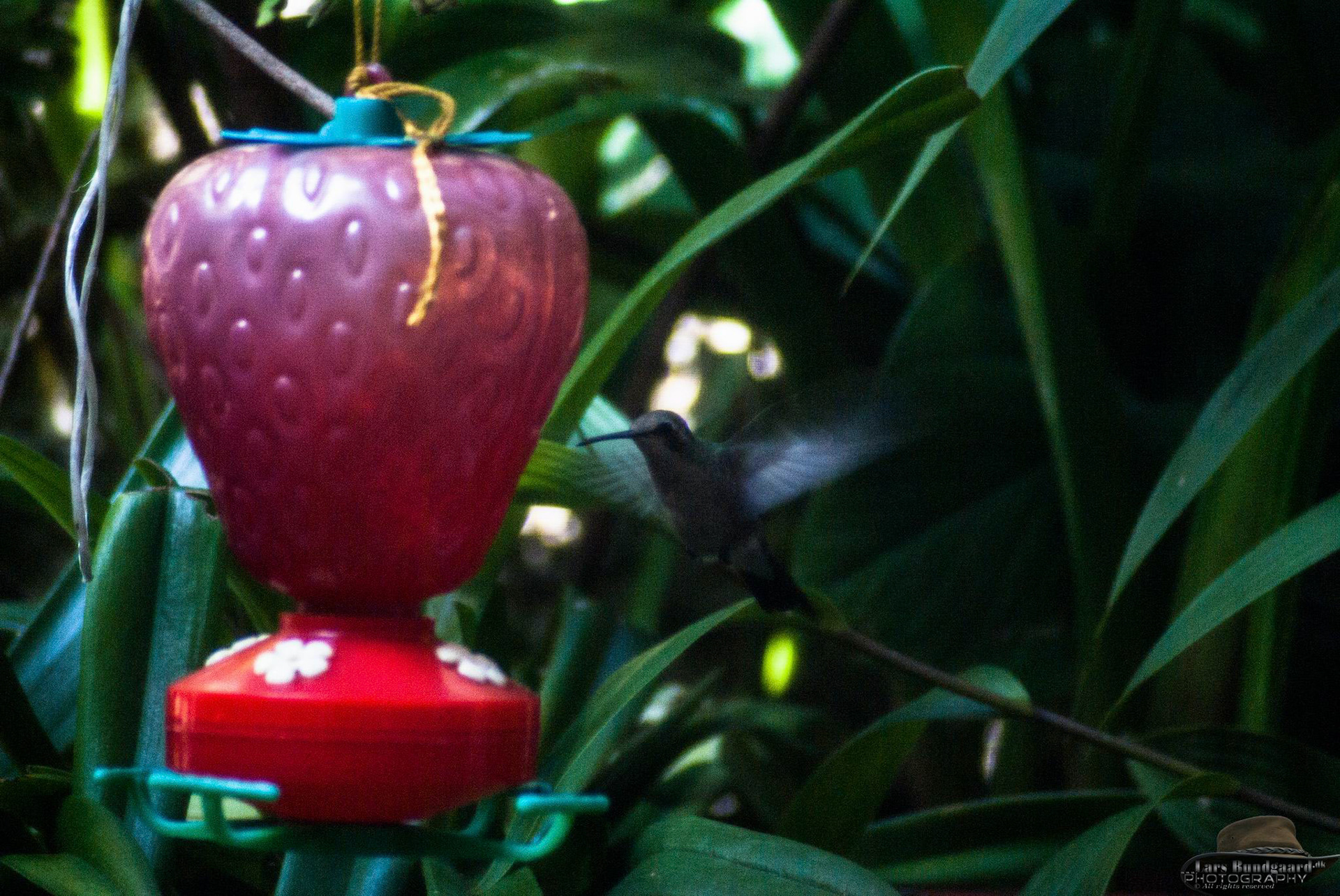 Copyright © Lars Bundgaard, all rights reserved!