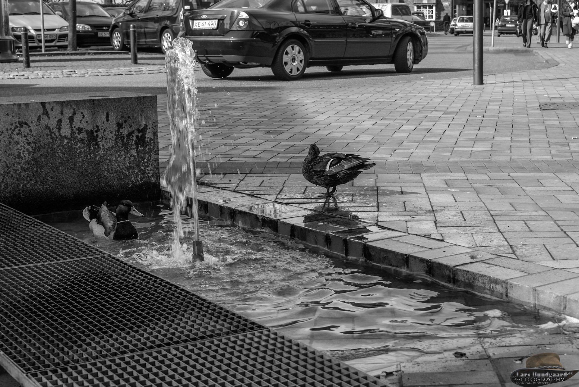 Copyright © Lars Bundgaard, all rights reserved!