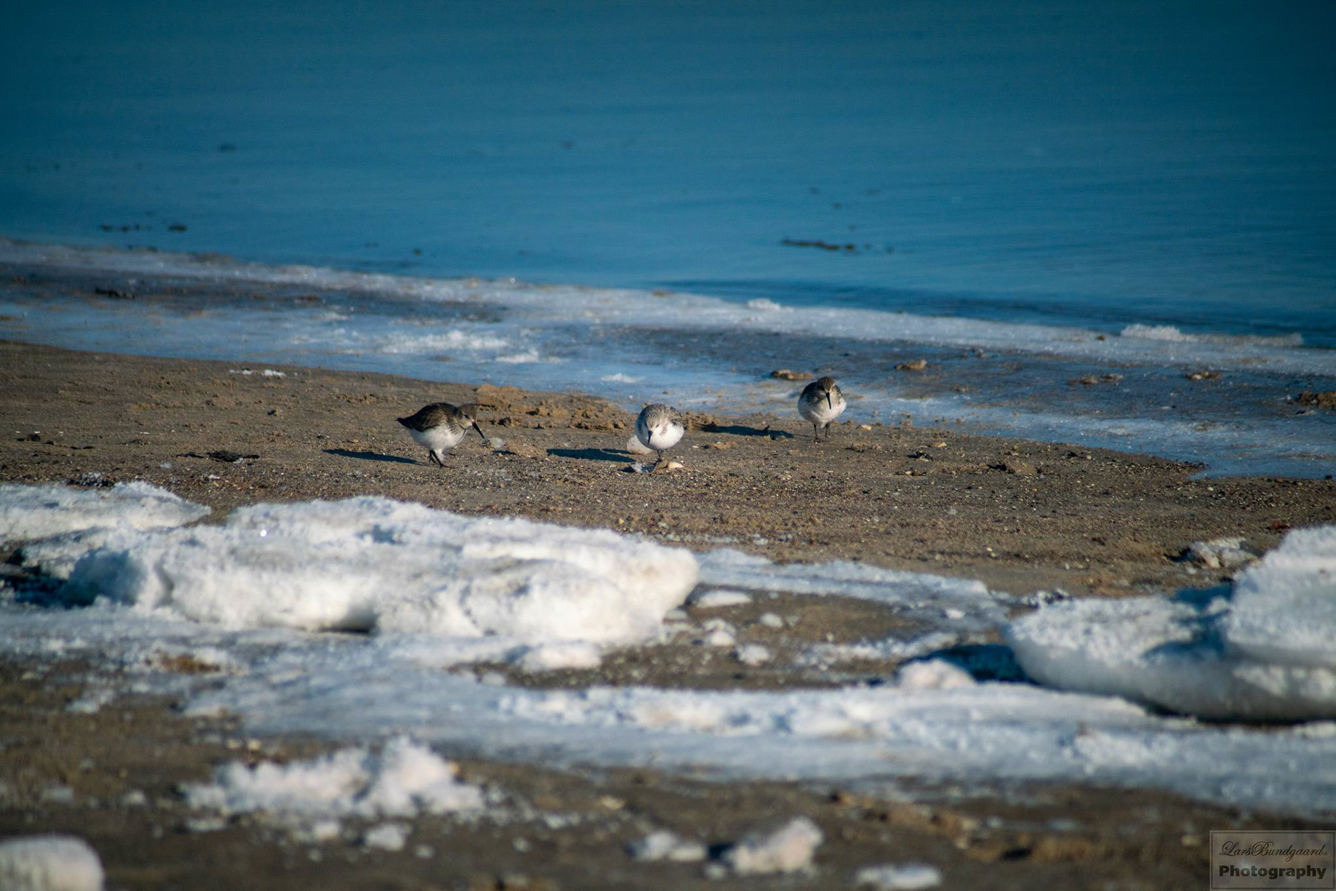 Copyright © Lars Bundgaard, all rights reserved!