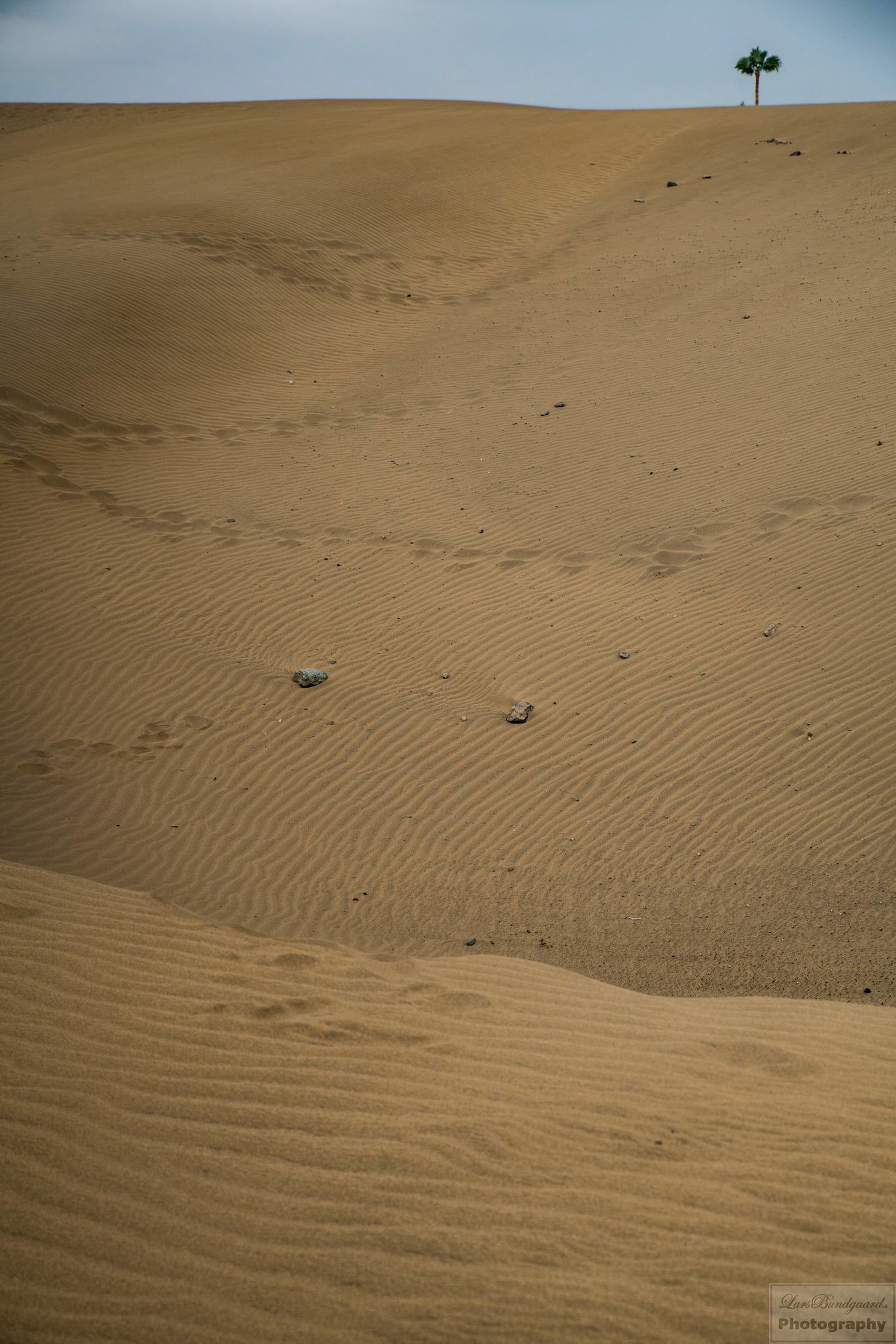 Copyright © Lars Bundgaard, all rights reserved!