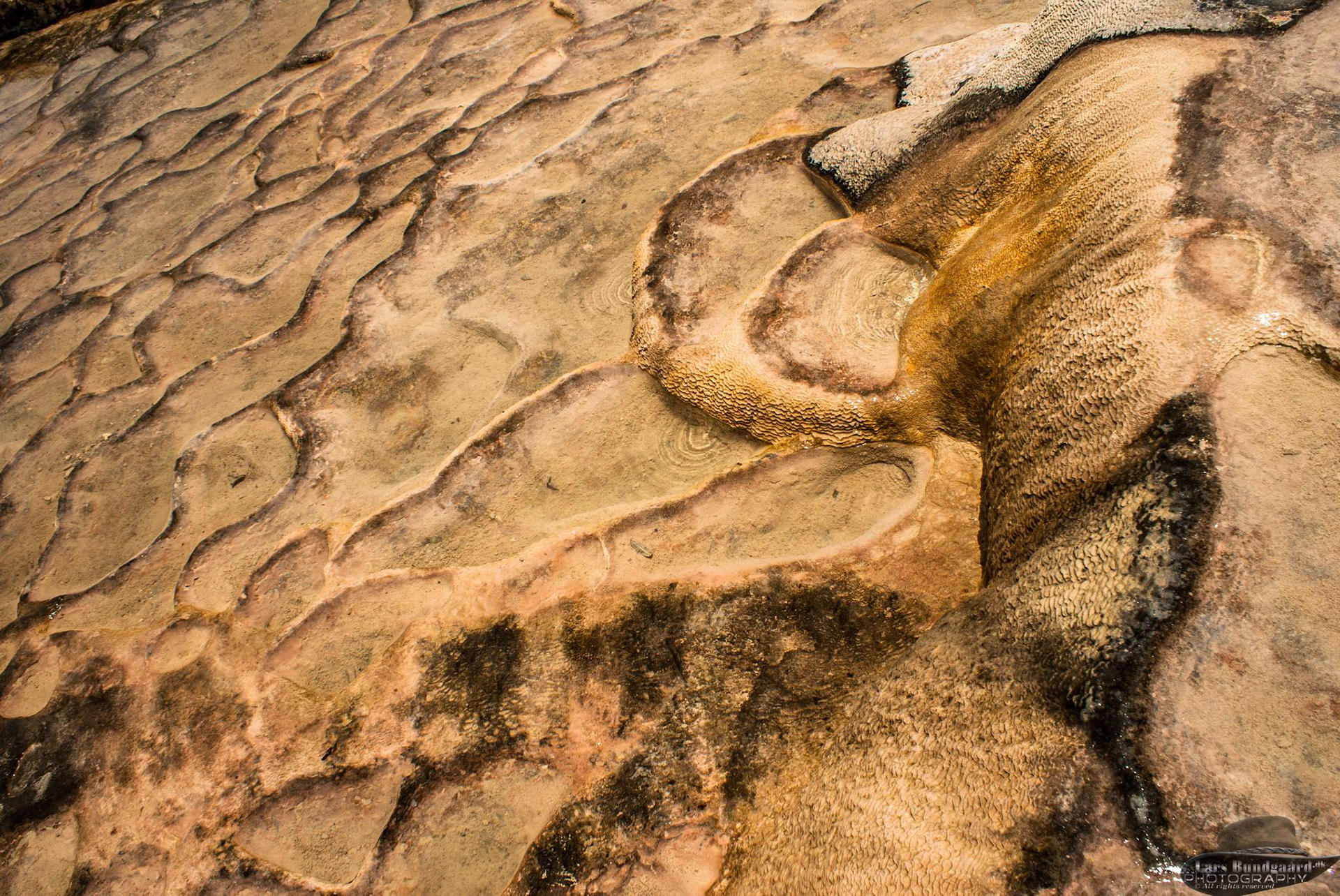 Copyright © Lars Bundgaard, all rights reserved!