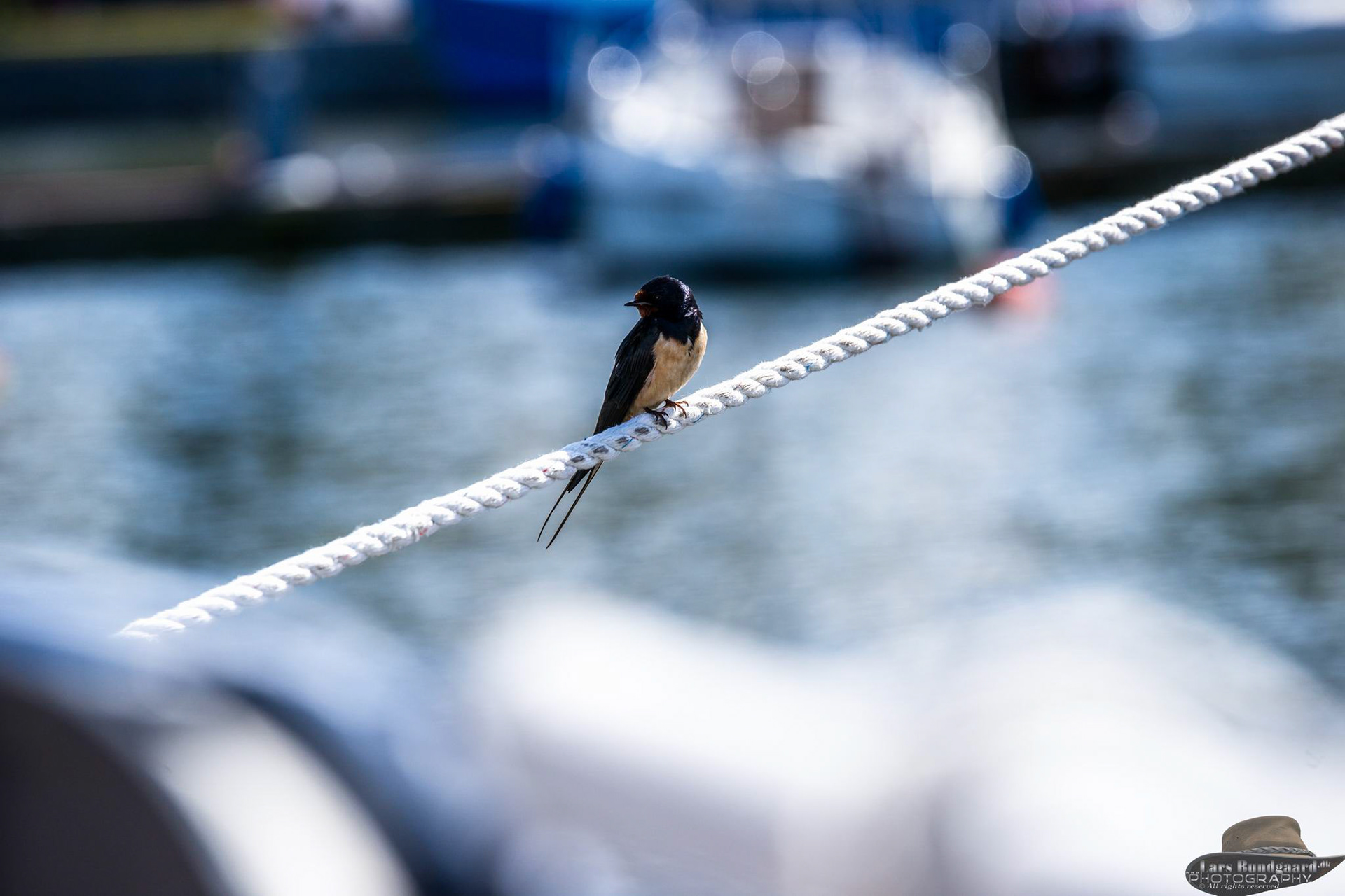 Copyright © Lars Bundgaard, all rights reserved!