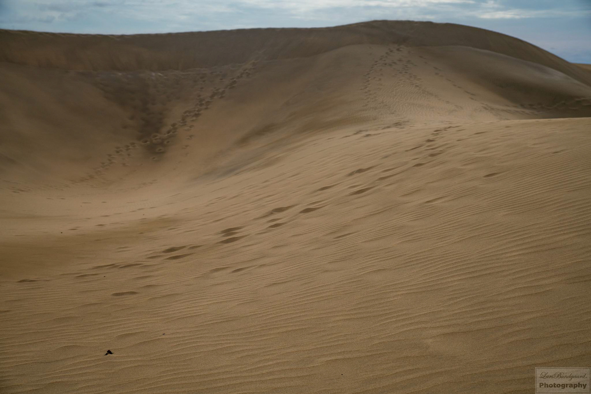 Copyright © Lars Bundgaard, all rights reserved!